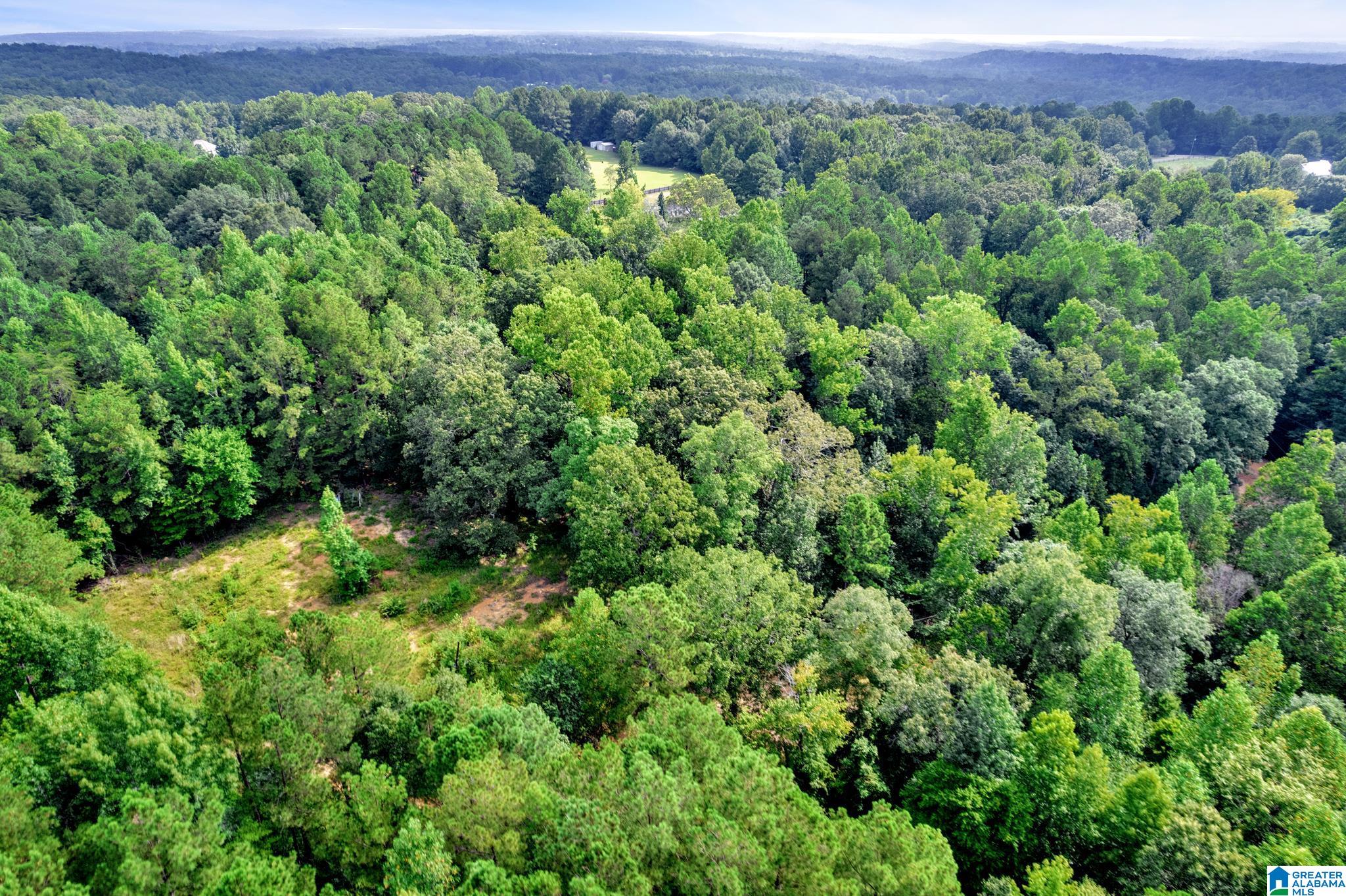 6971 Chambers Lane, Unit 1 Dora, AL 35062 - Photo 19 of 21