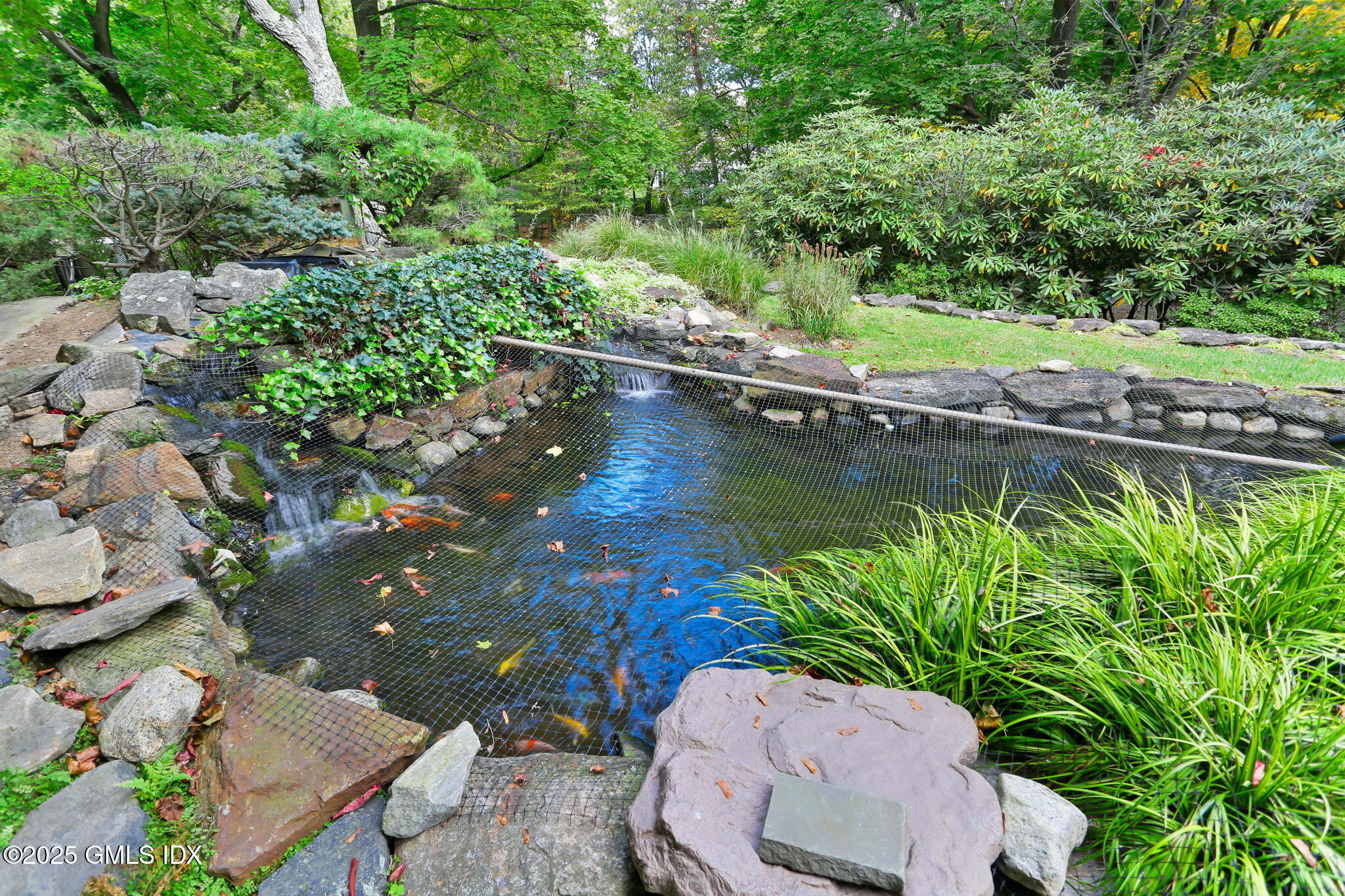 43 Sterling Road South Greenwich, CT 06831 - Photo 24 of 34 Koi Pond