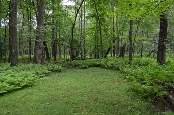 379 Glendale Road Hampden, MA 01036 - Photo 12 of 18 Gallery Image 12