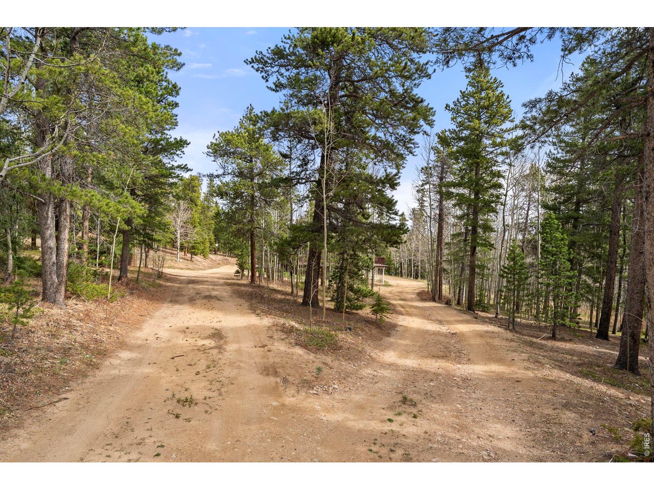 418 Athena Road Black Hawk, CO 80422 - Photo 30 of 40 Pines and aspens