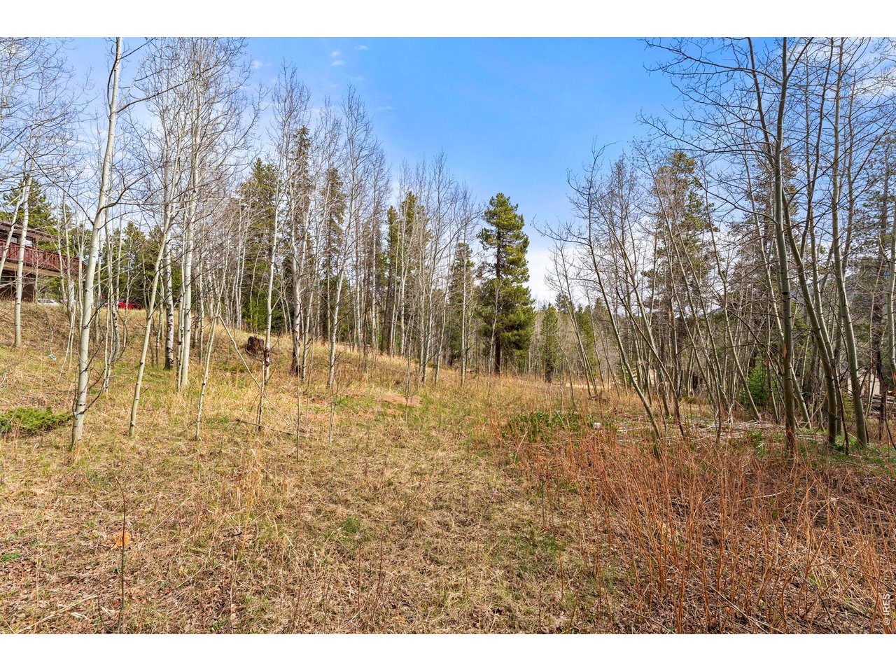 418 Athena Road Black Hawk, CO 80422 - Photo 31 of 40 Surrounded by quaking aspens