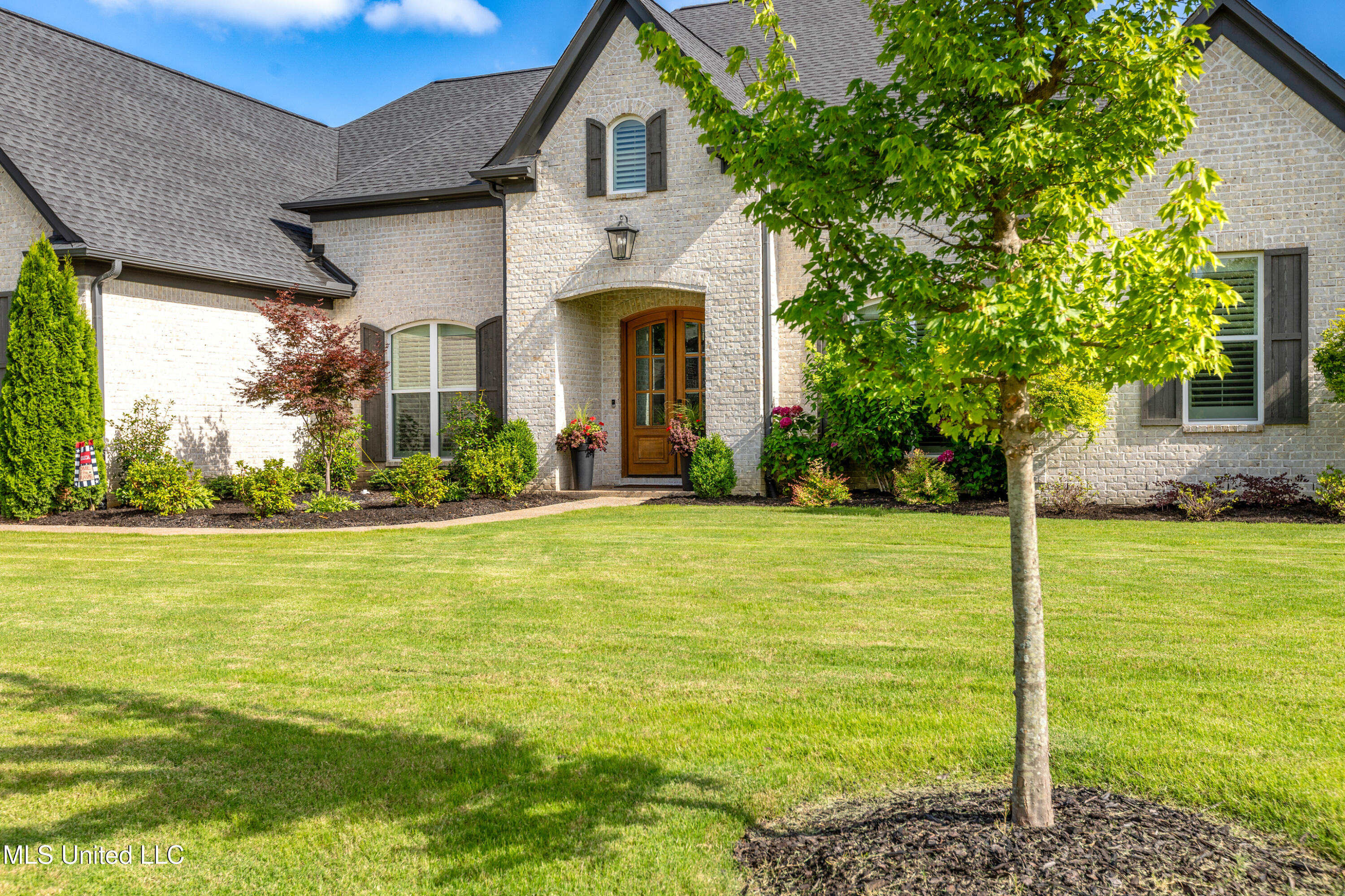 8209 Waterfall Way Olive Branch, MS 38654 - Photo 3 of 66 04 (2)