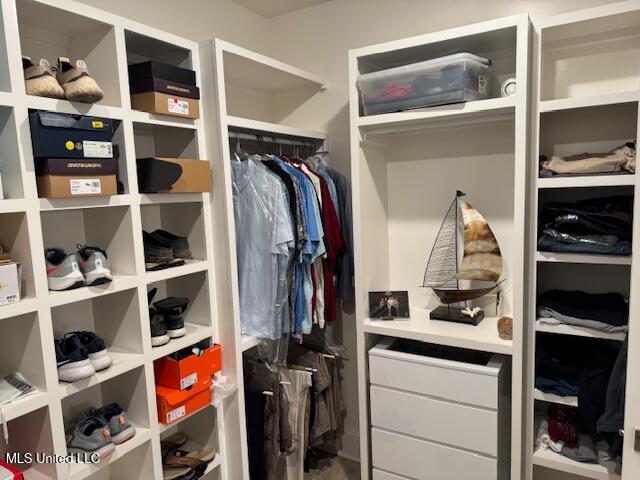 8209 Waterfall Way Olive Branch, MS 38654 - Photo 54 of 66 IMG_1970