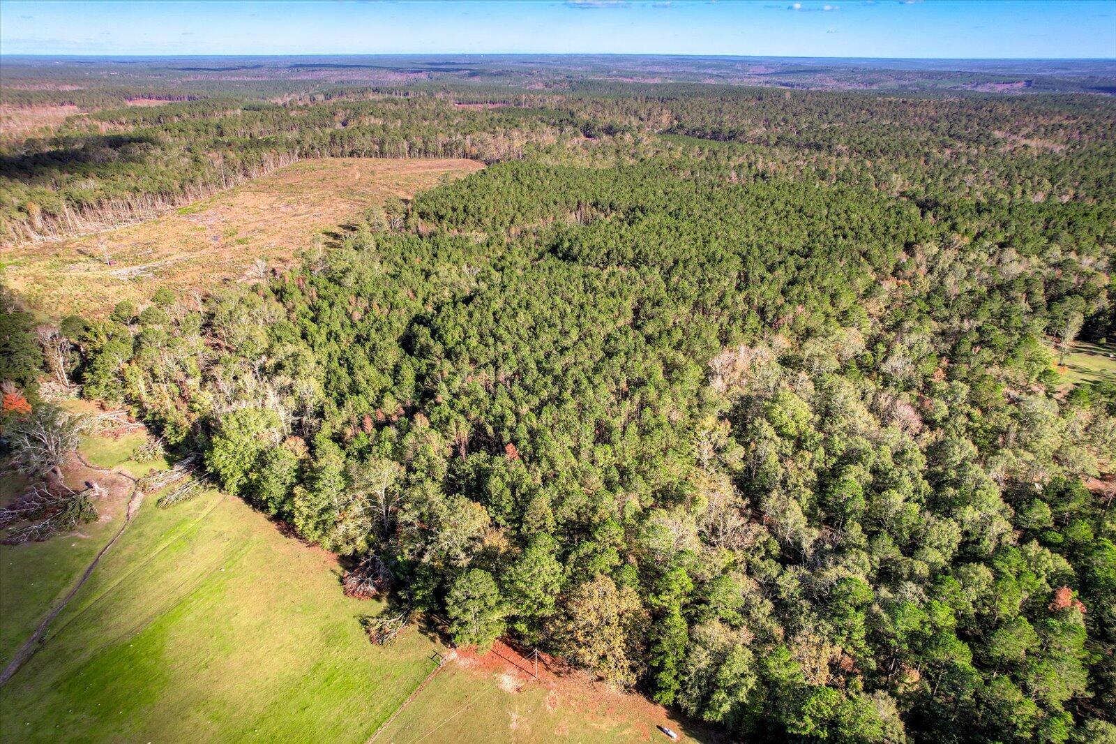 Tbd2 Tbd2 Sc-23 Edgefield, SC 29824 - Photo 14 of 41 12-112