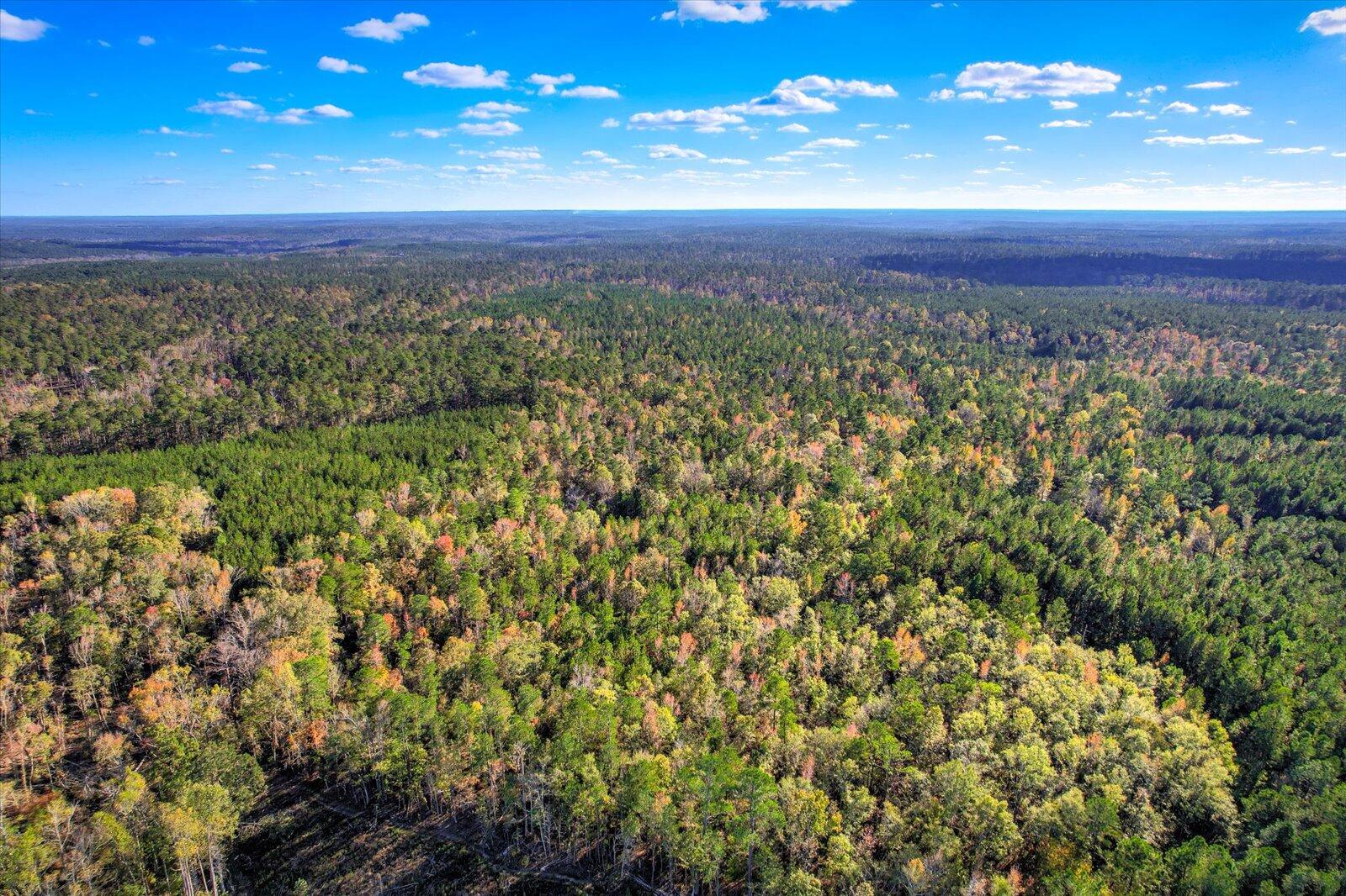 Tbd2 Tbd2 Sc-23 Edgefield, SC 29824 - Photo 15 of 41 13-113