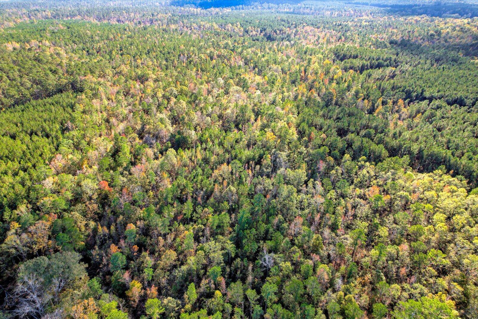 Tbd2 Tbd2 Sc-23 Edgefield, SC 29824 - Photo 16 of 41 14-114
