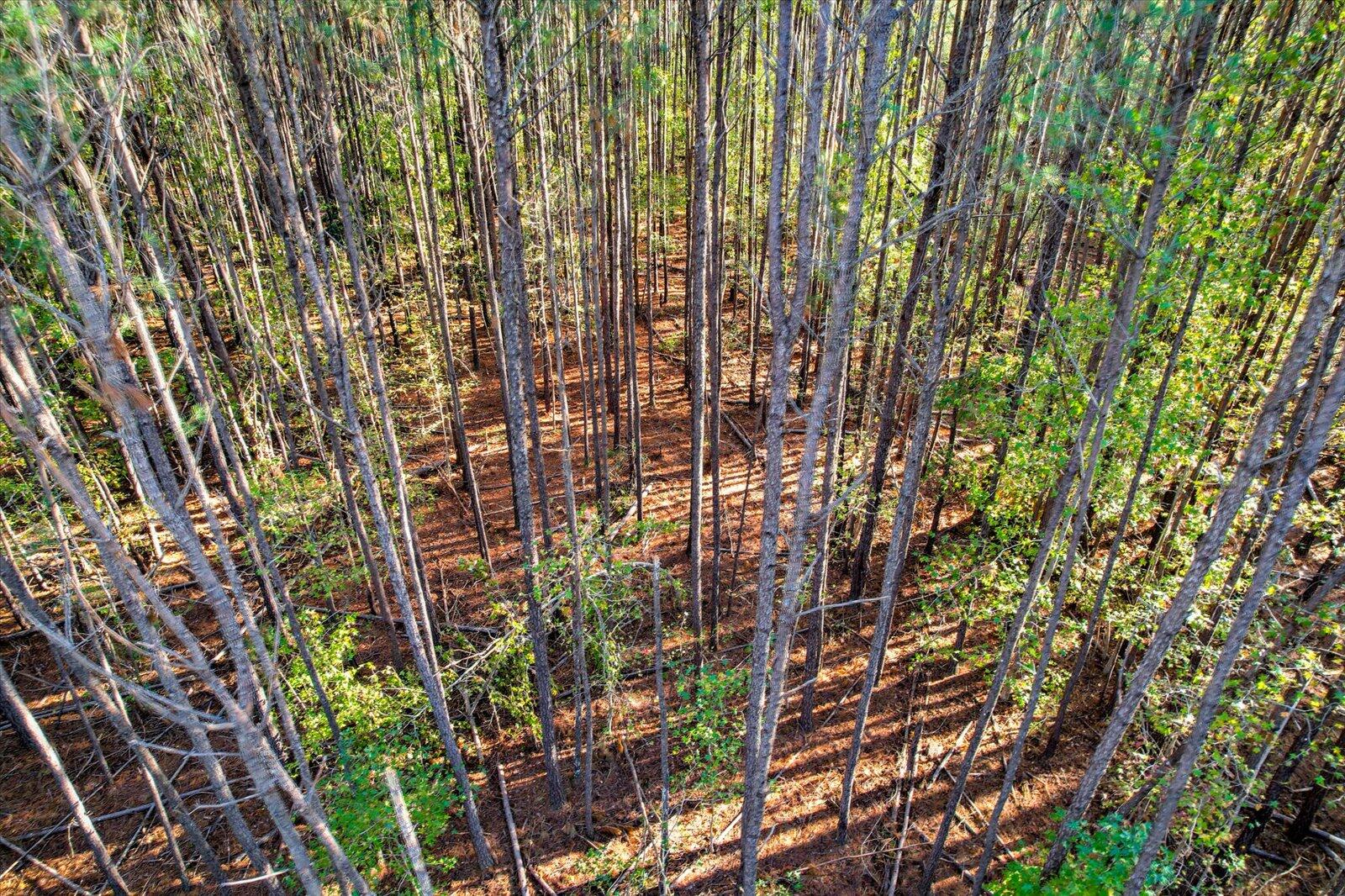 Tbd2 Tbd2 Sc-23 Edgefield, SC 29824 - Photo 18 of 41 16-116