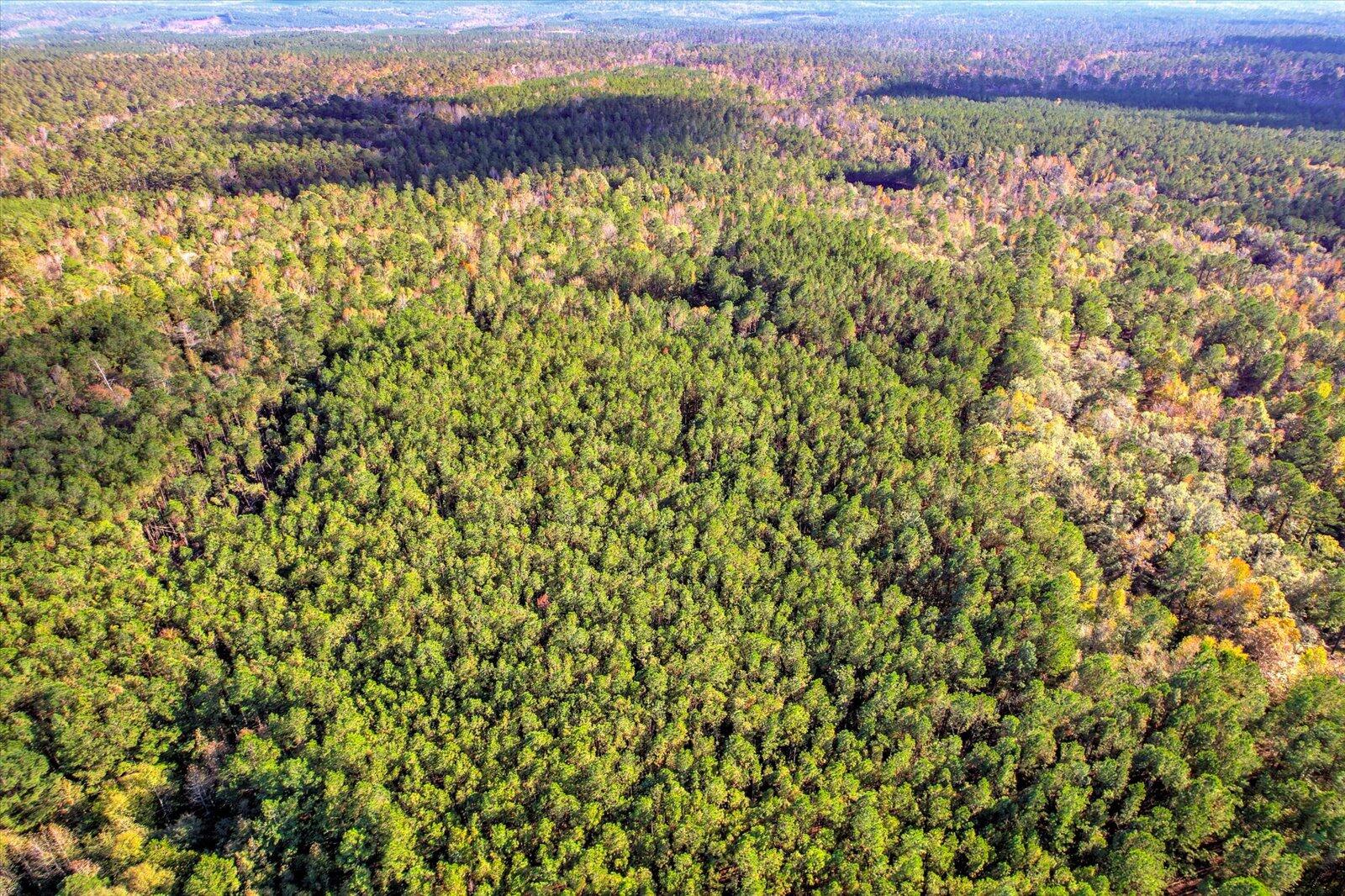 Tbd2 Tbd2 Sc-23 Edgefield, SC 29824 - Photo 20 of 41 18-118