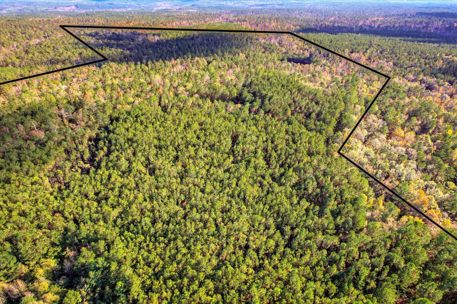 Tbd2 Tbd2 Sc-23 Edgefield, SC 29824 - Photo 21 of 41 19-119