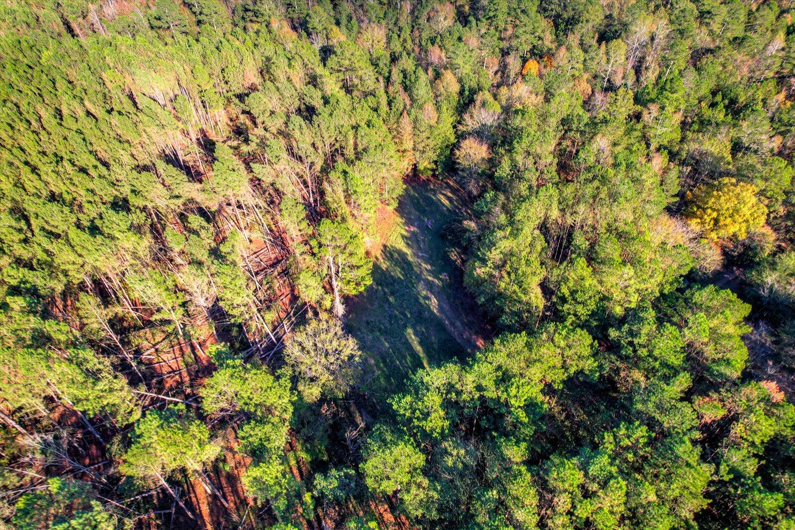 Tbd2 Tbd2 Sc-23 Edgefield, SC 29824 - Photo 22 of 41 20-120