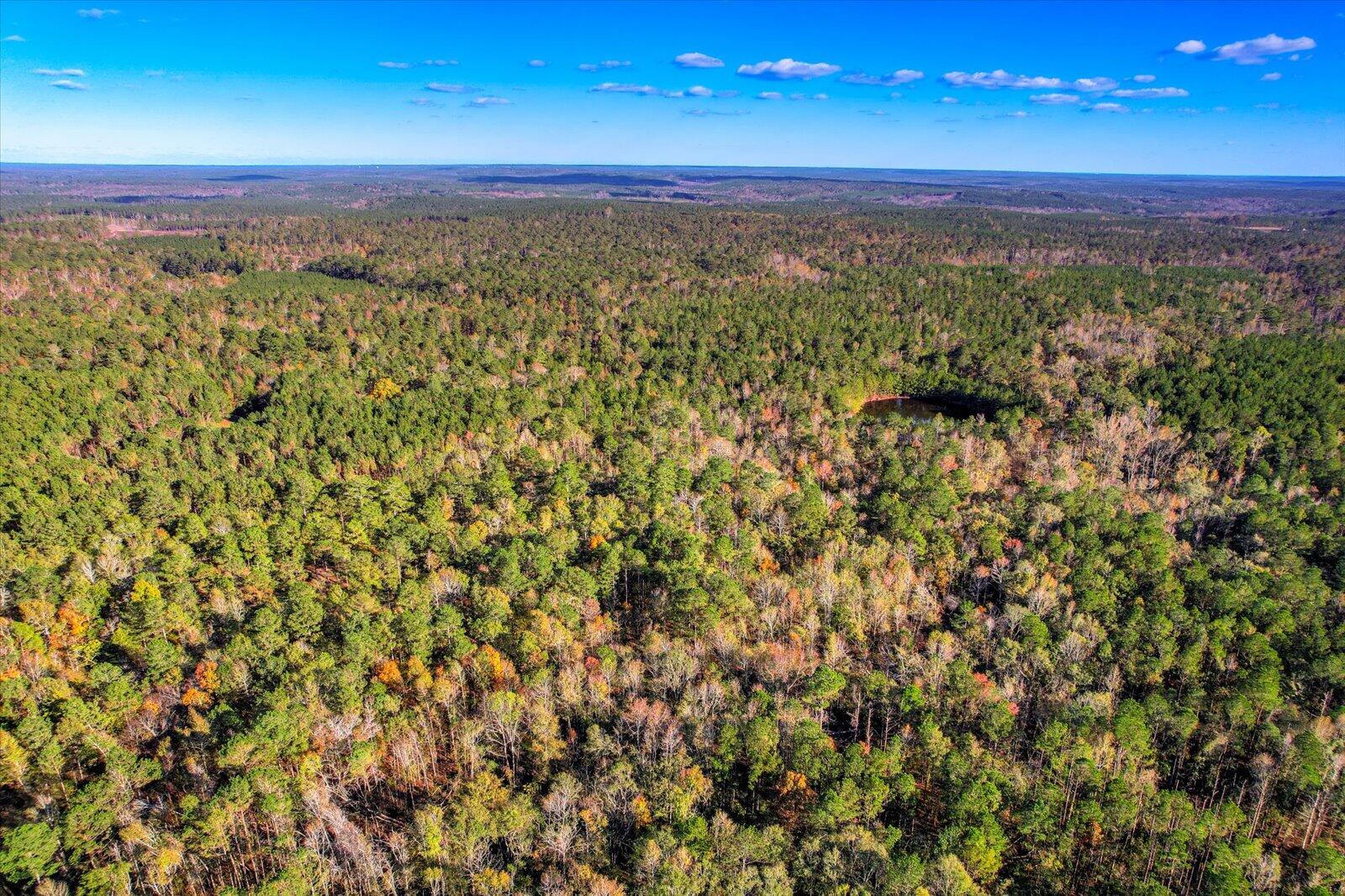 Tbd2 Tbd2 Sc-23 Edgefield, SC 29824 - Photo 24 of 41 22-122