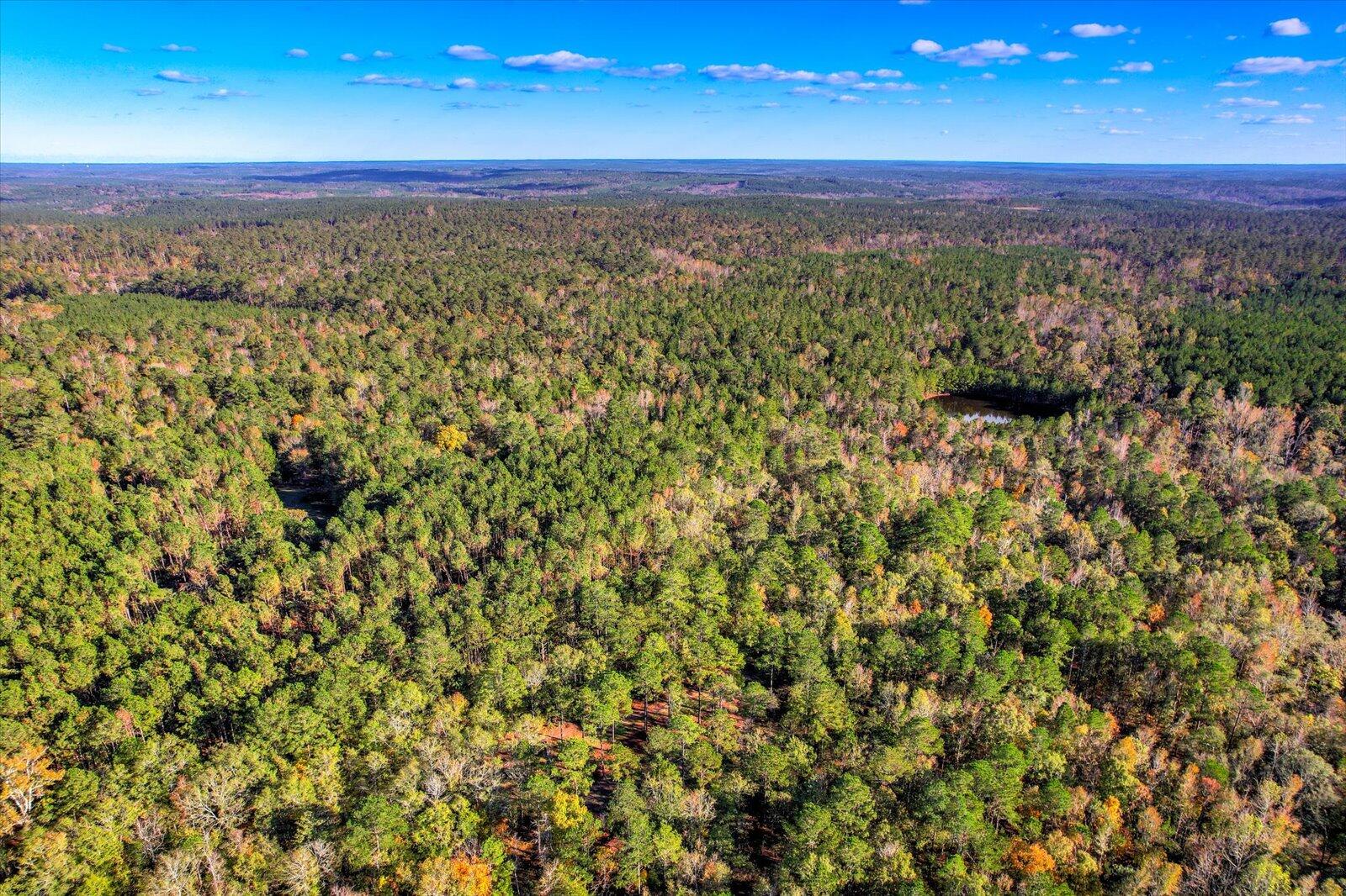 Tbd2 Tbd2 Sc-23 Edgefield, SC 29824 - Photo 25 of 41 23-123