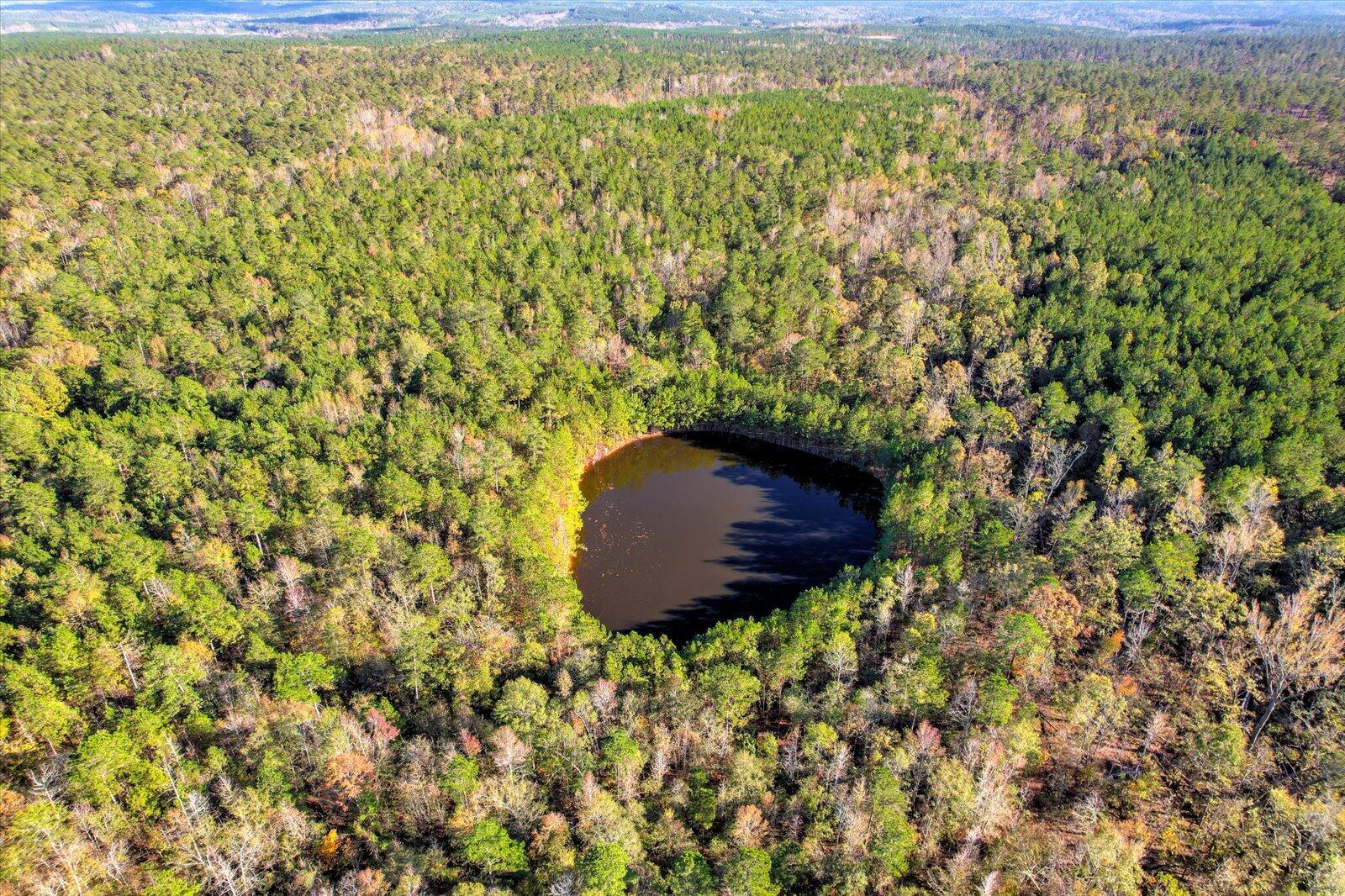 Tbd2 Tbd2 Sc-23 Edgefield, SC 29824 - Photo 26 of 41 24-124