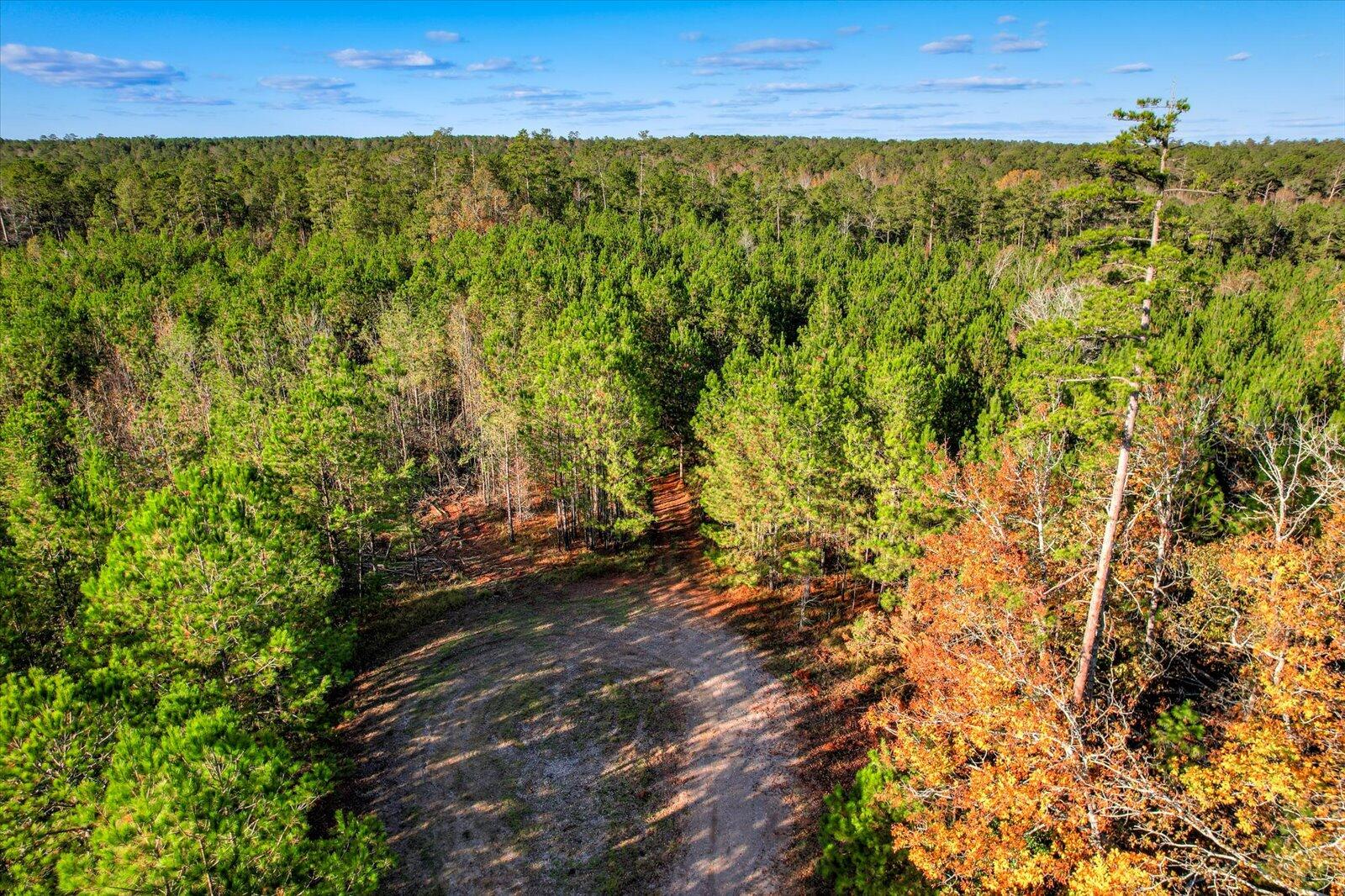 Tbd2 Tbd2 Sc-23 Edgefield, SC 29824 - Photo 27 of 41 25-125