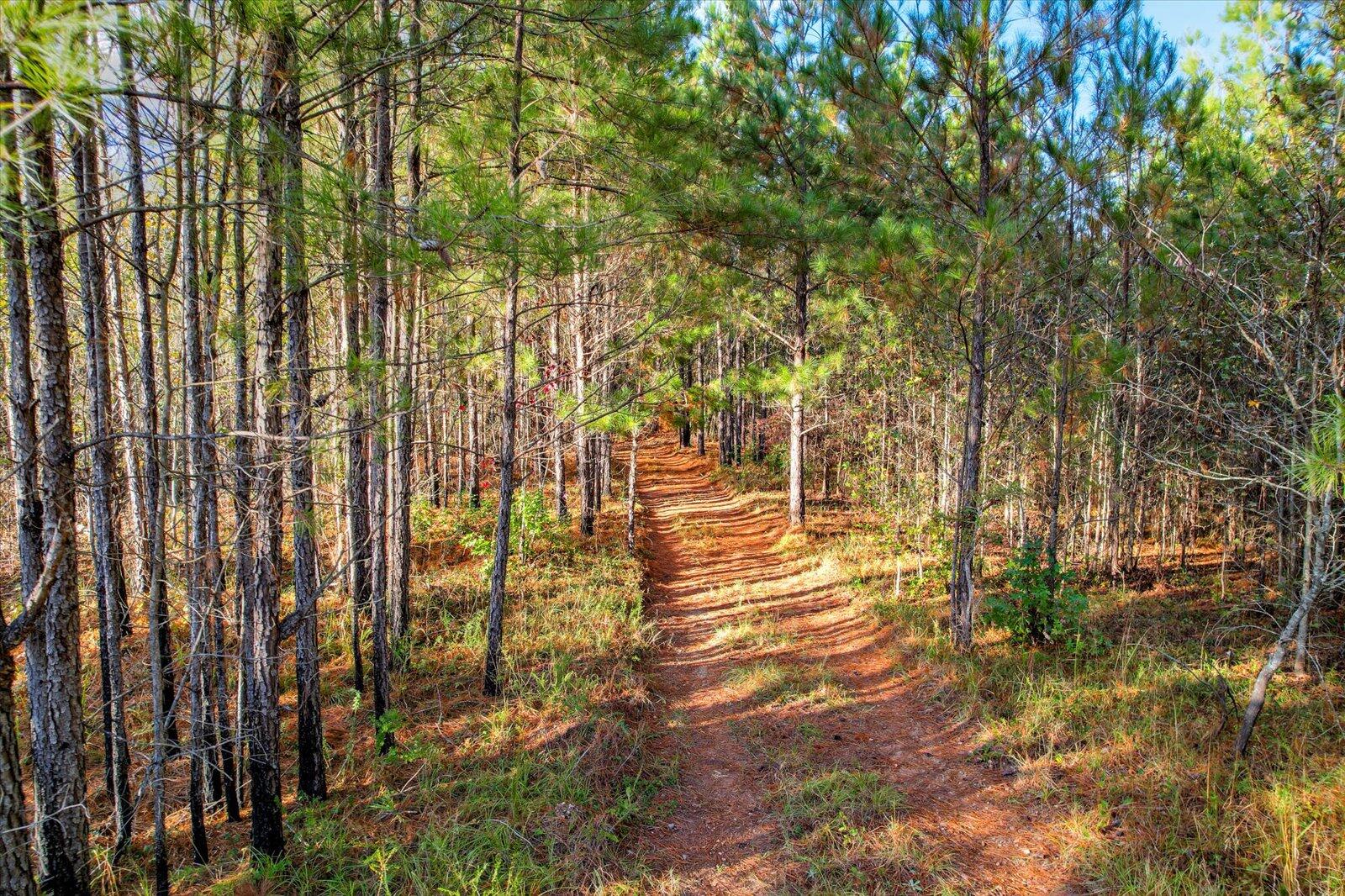 Tbd2 Tbd2 Sc-23 Edgefield, SC 29824 - Photo 28 of 41 26-126