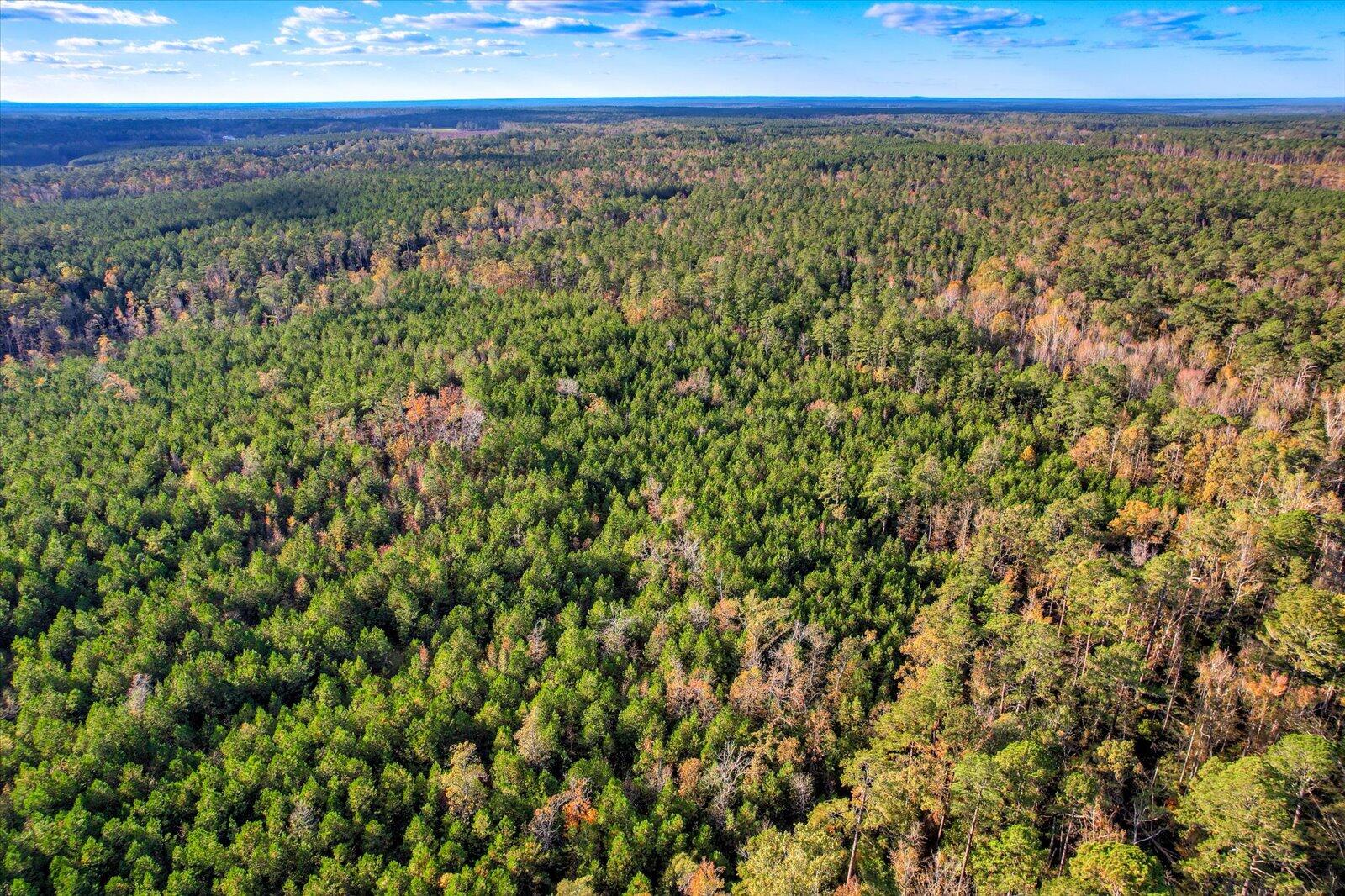 Tbd2 Tbd2 Sc-23 Edgefield, SC 29824 - Photo 30 of 41 28-128