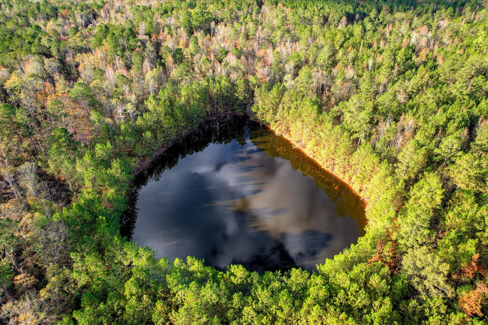 Tbd2 Tbd2 Sc-23 Edgefield, SC 29824 - Photo 3 of 41 32-132