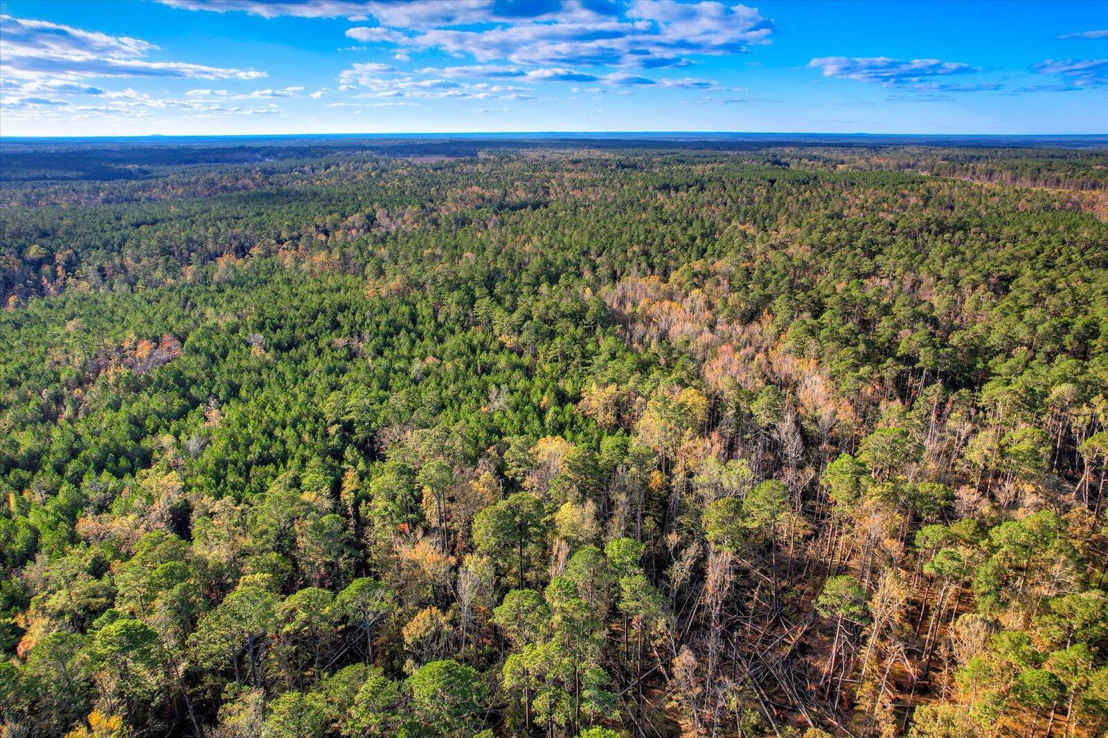 Tbd2 Tbd2 Sc-23 Edgefield, SC 29824 - Photo 32 of 41 30-130