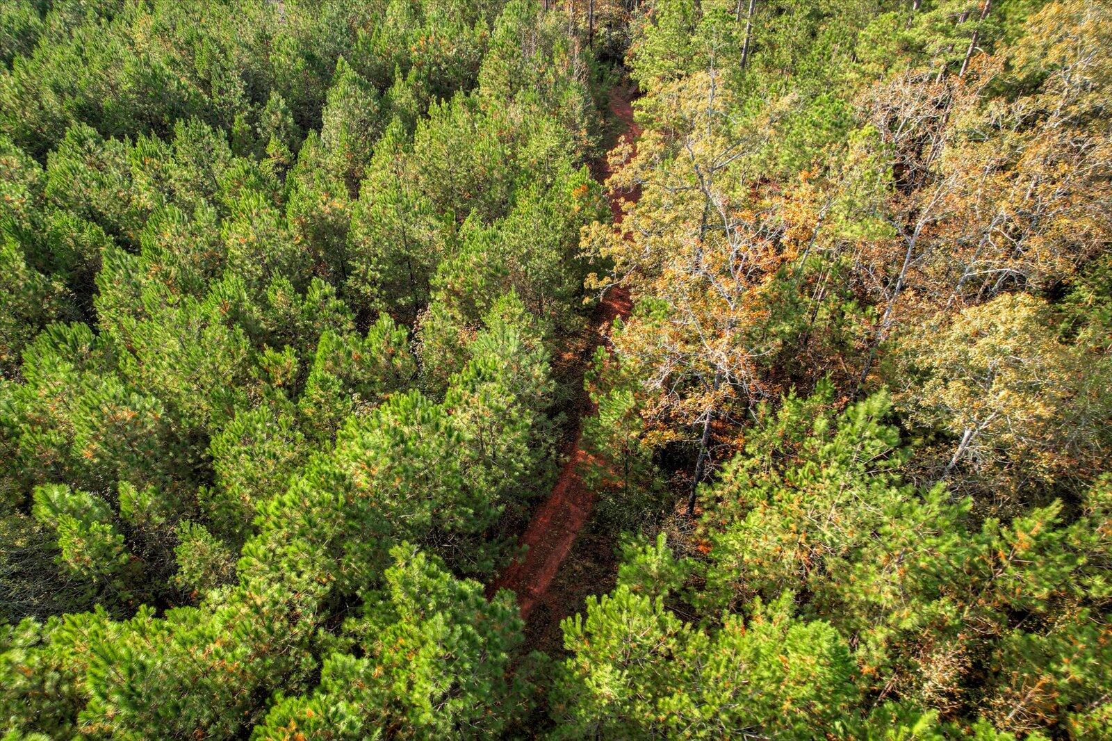 Tbd2 Tbd2 Sc-23 Edgefield, SC 29824 - Photo 34 of 41 33-133