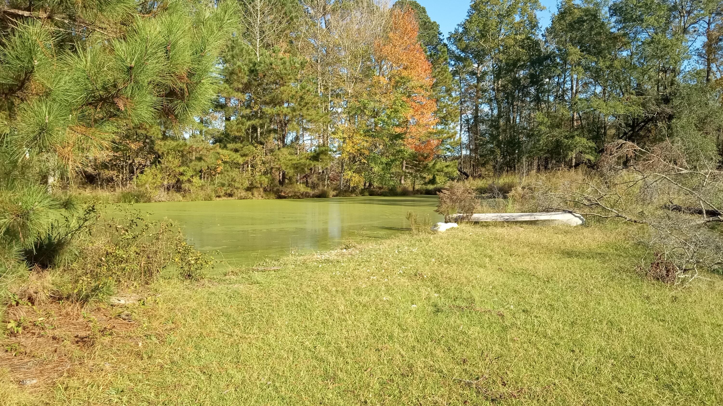 Tbd2 Tbd2 Sc-23 Edgefield, SC 29824 - Photo 38 of 41 IMG_20241115_144804305