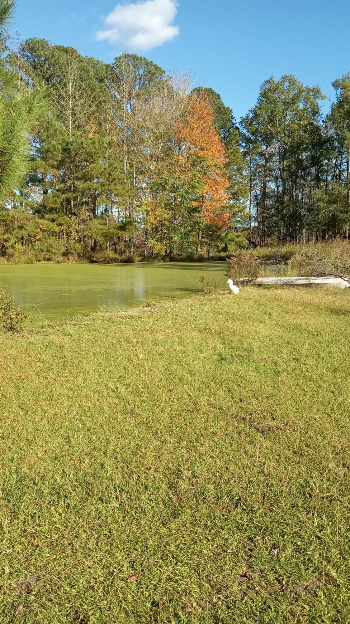 Tbd2 Tbd2 Sc-23 Edgefield, SC 29824 - Photo 39 of 41 IMG_20241115_144815798