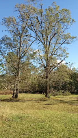 $1,330,032 | Tbd2 Tbd2 Sc-23, Edgefield, SC 29824