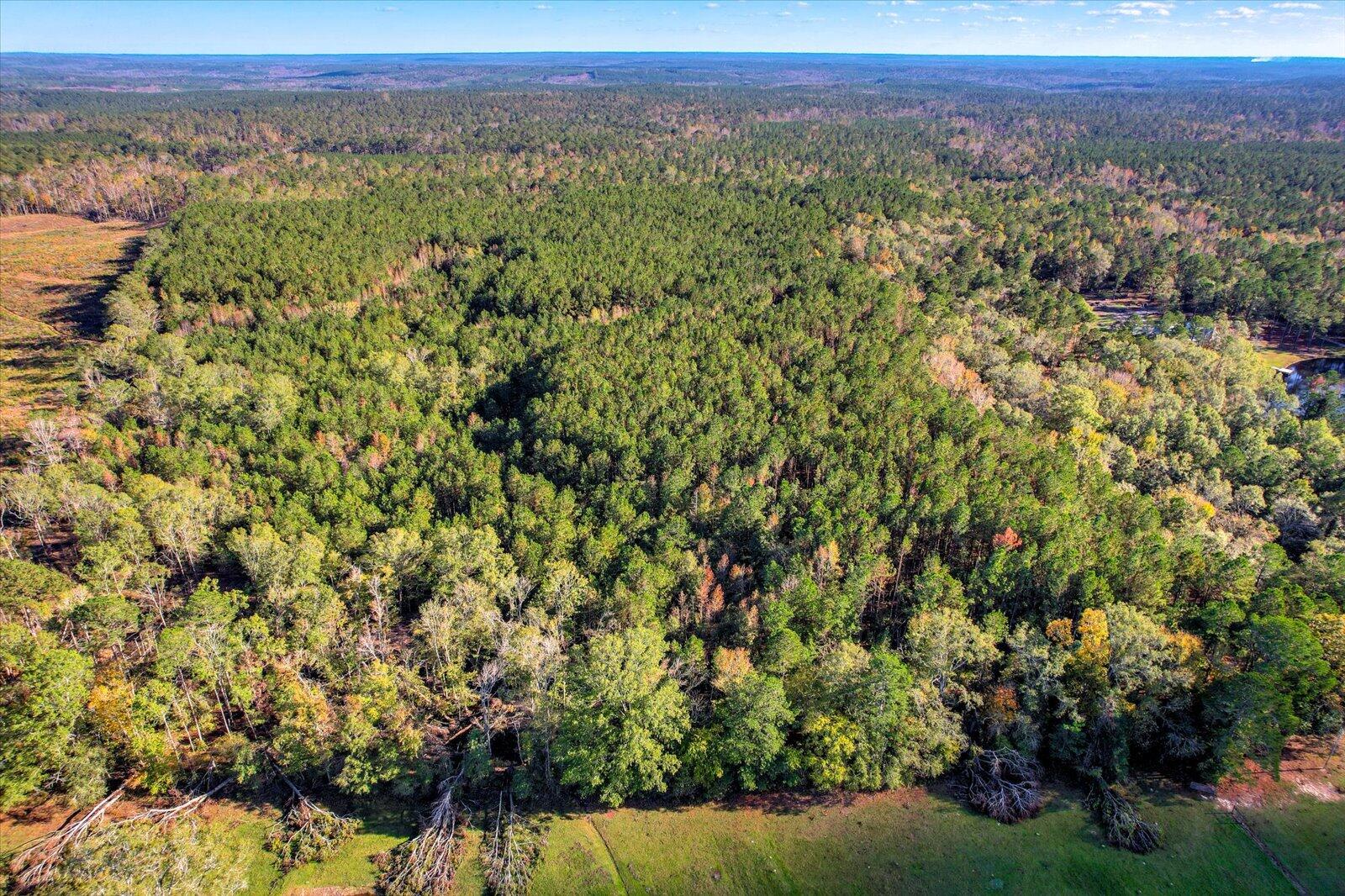 Tbd2 Tbd2 Sc-23 Edgefield, SC 29824 - Photo 5 of 41 03-103