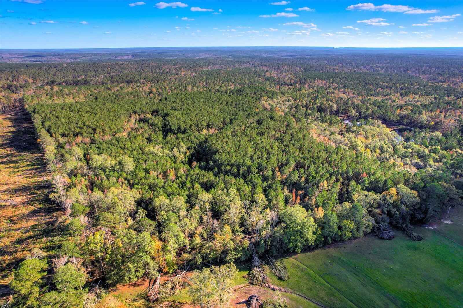 Tbd2 Tbd2 Sc-23 Edgefield, SC 29824 - Photo 6 of 41 04-104
