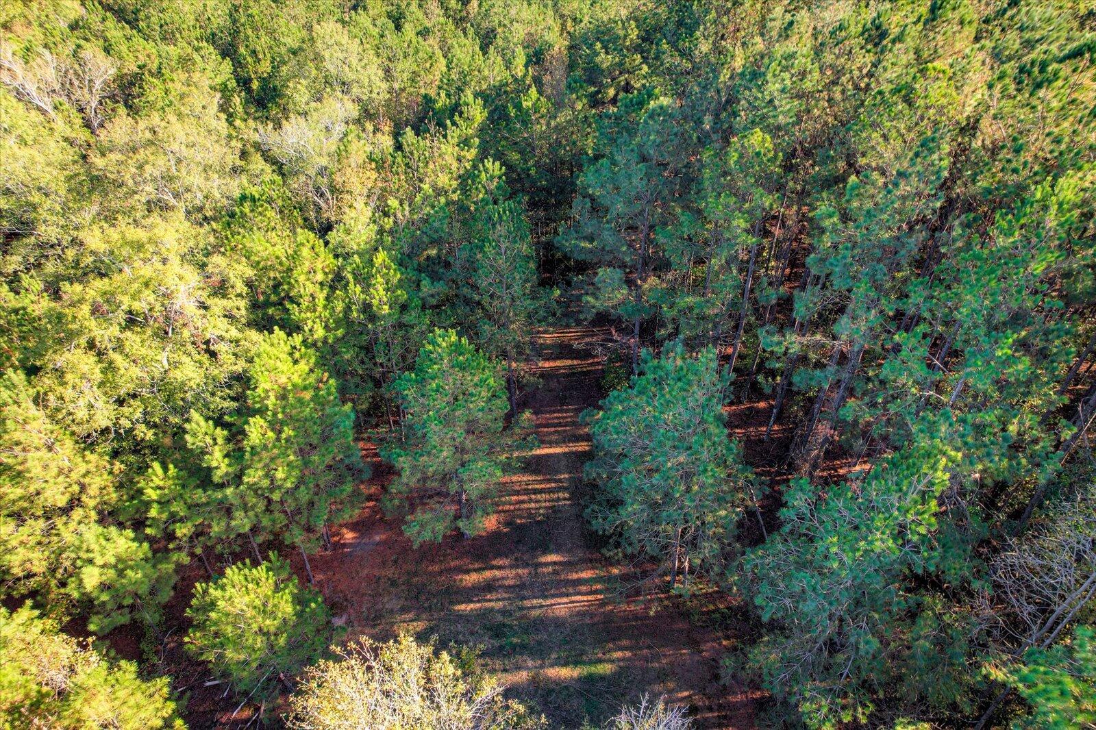 Tbd2 Tbd2 Sc-23 Edgefield, SC 29824 - Photo 10 of 41 08-108