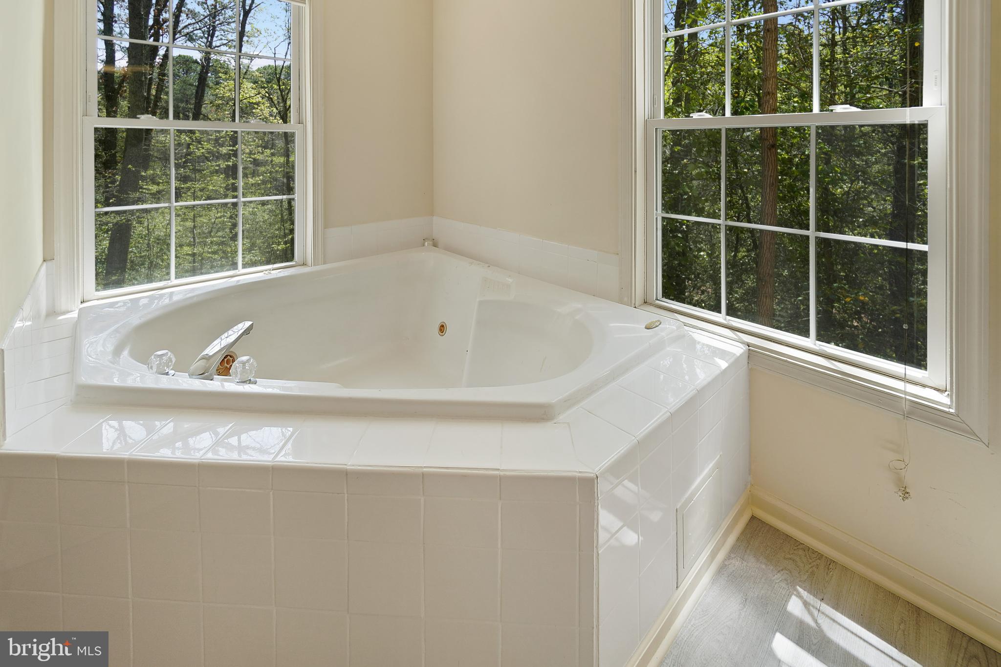 1213 Magothy Road Pasadena, MD 21122 - Photo 20 of 41 Master Bathroom Jacuzzi Jet Tub