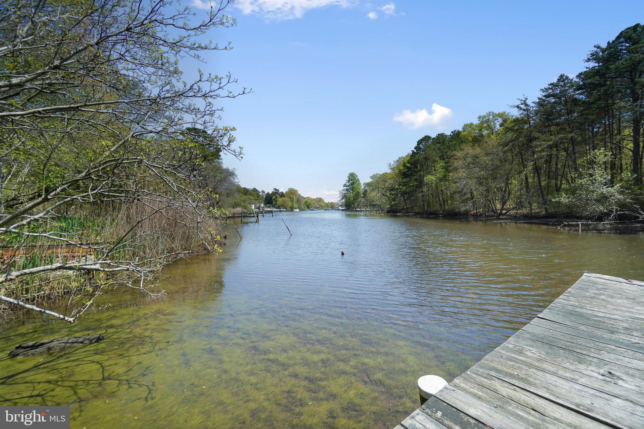 Greys Creek view from Pier