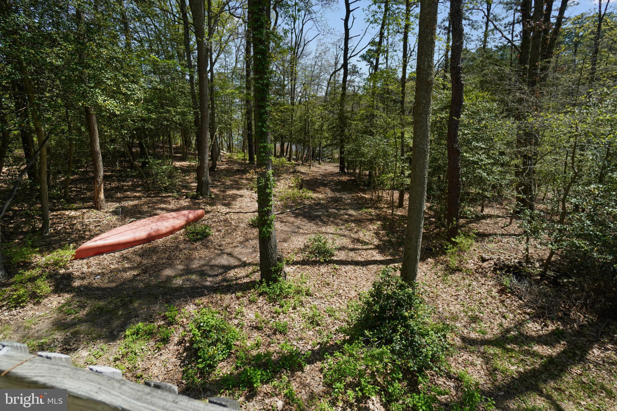 1213 Magothy Road Pasadena, MD 21122 - Photo 39 of 41 1.67 +/- Acre Wooded Waterfront Lot