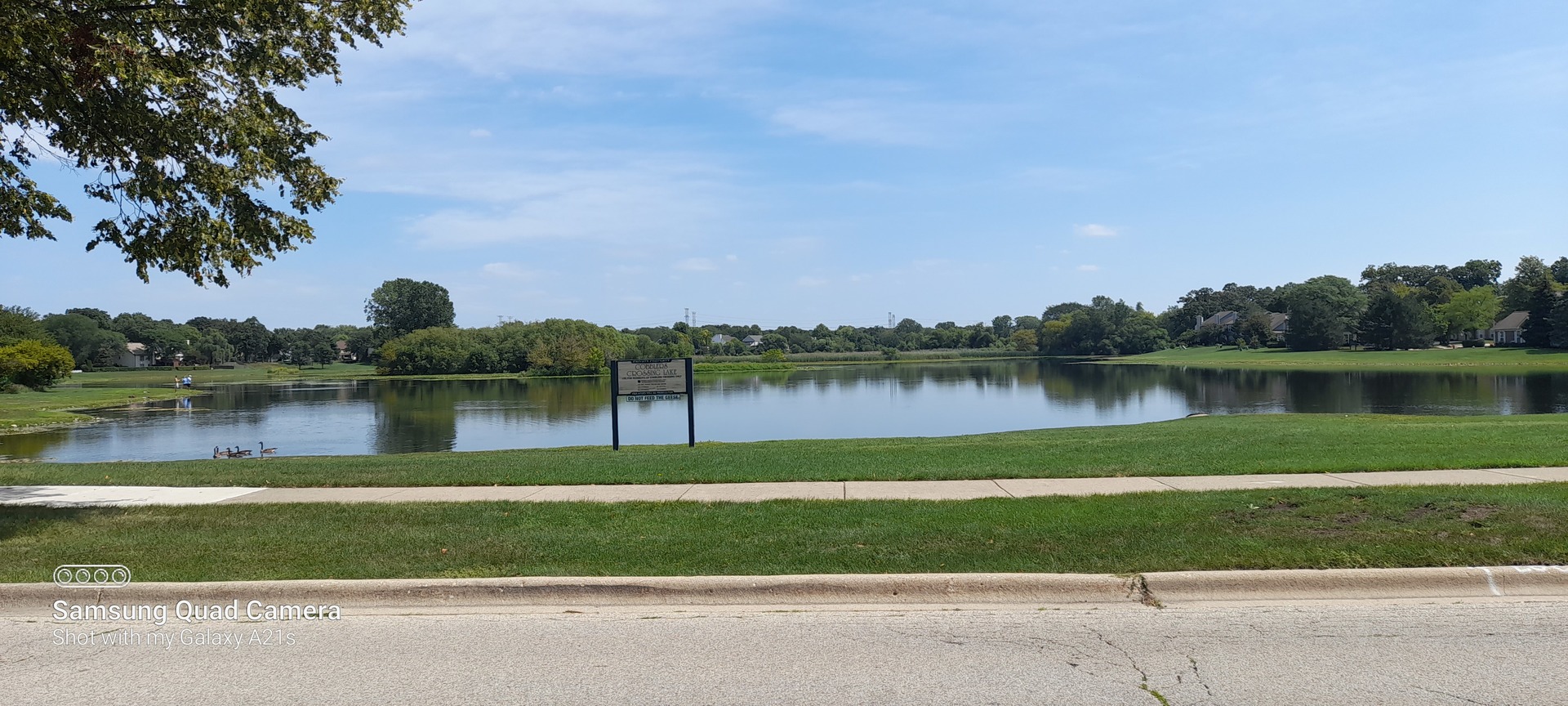 1206 Coldspring Road Elgin, IL 60120 - Photo 3 of 54