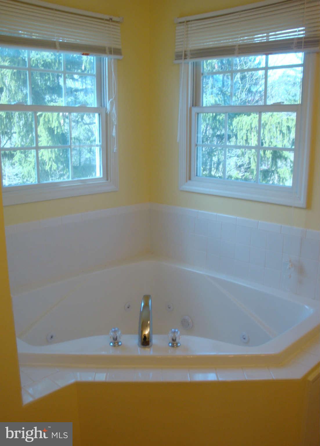 1348 Rolling Rd. Baltimore, MD 21227 - Photo 16 of 23 Bath (Master)