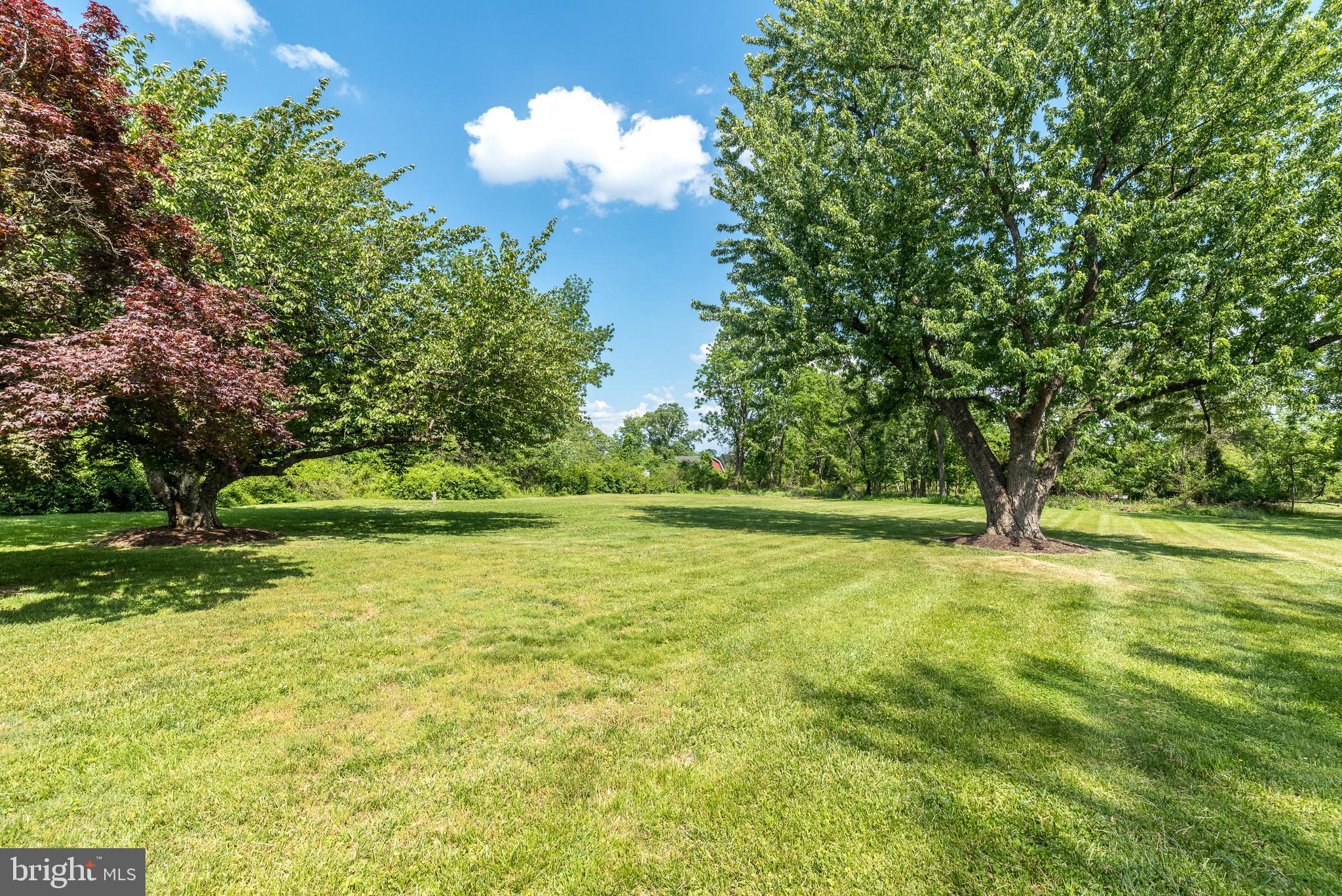511 Upper Stump Road Chalfont, PA 18914 - Photo 6 of 37 Spacious yard