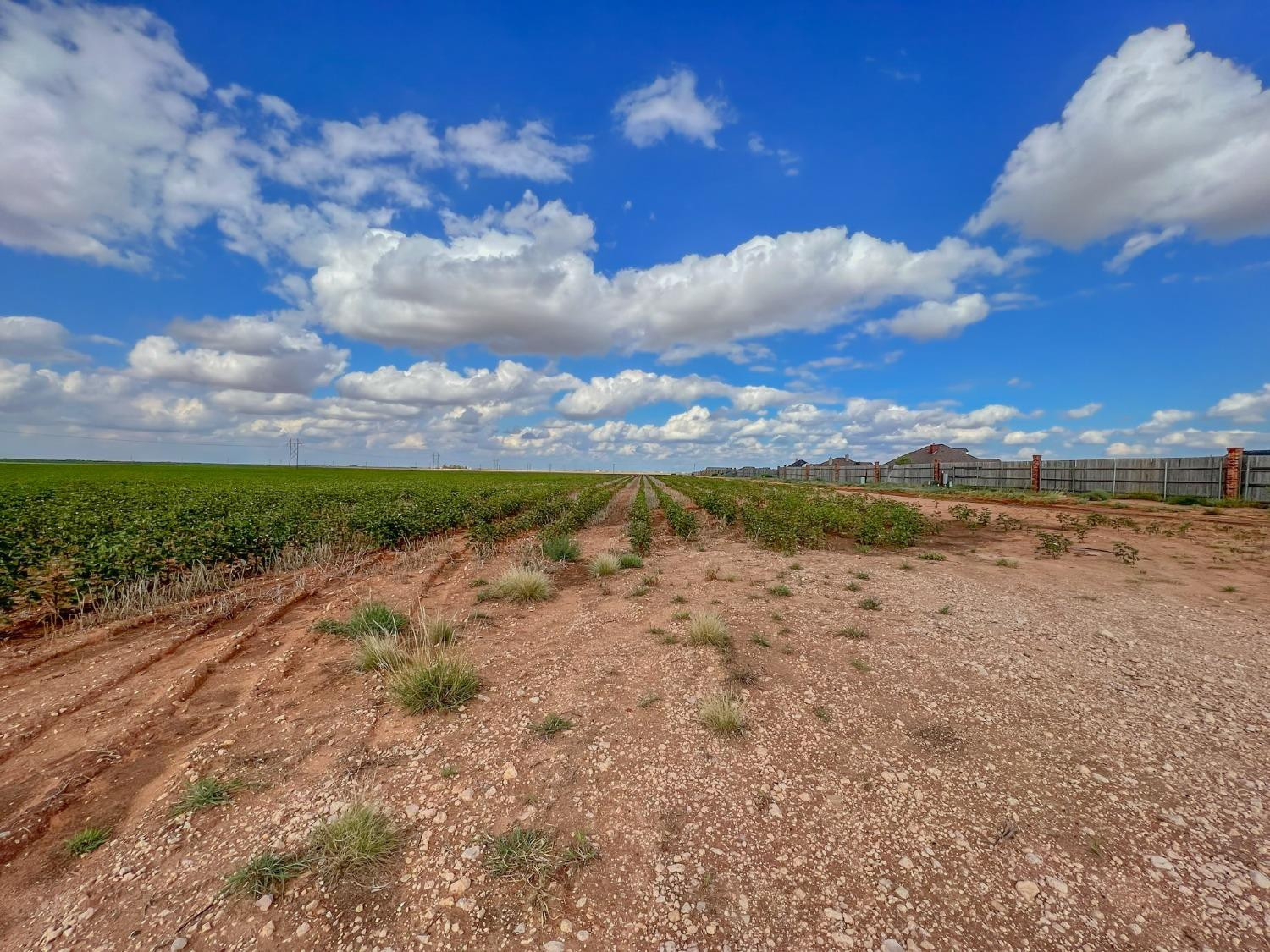 Rfp Unit 3 Rfp Boulevard Ropesville, TX 79358 - Photo 6 of 7