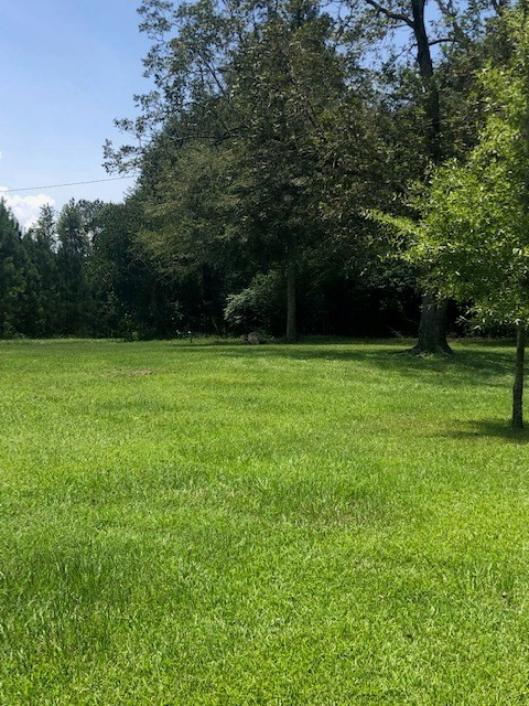 7165 Centerville Road Magnolia, MS 39652 - Photo 31 of 58 Photo 31