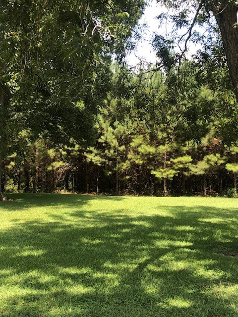 7165 Centerville Road Magnolia, MS 39652 - Photo 43 of 58 Photo 43