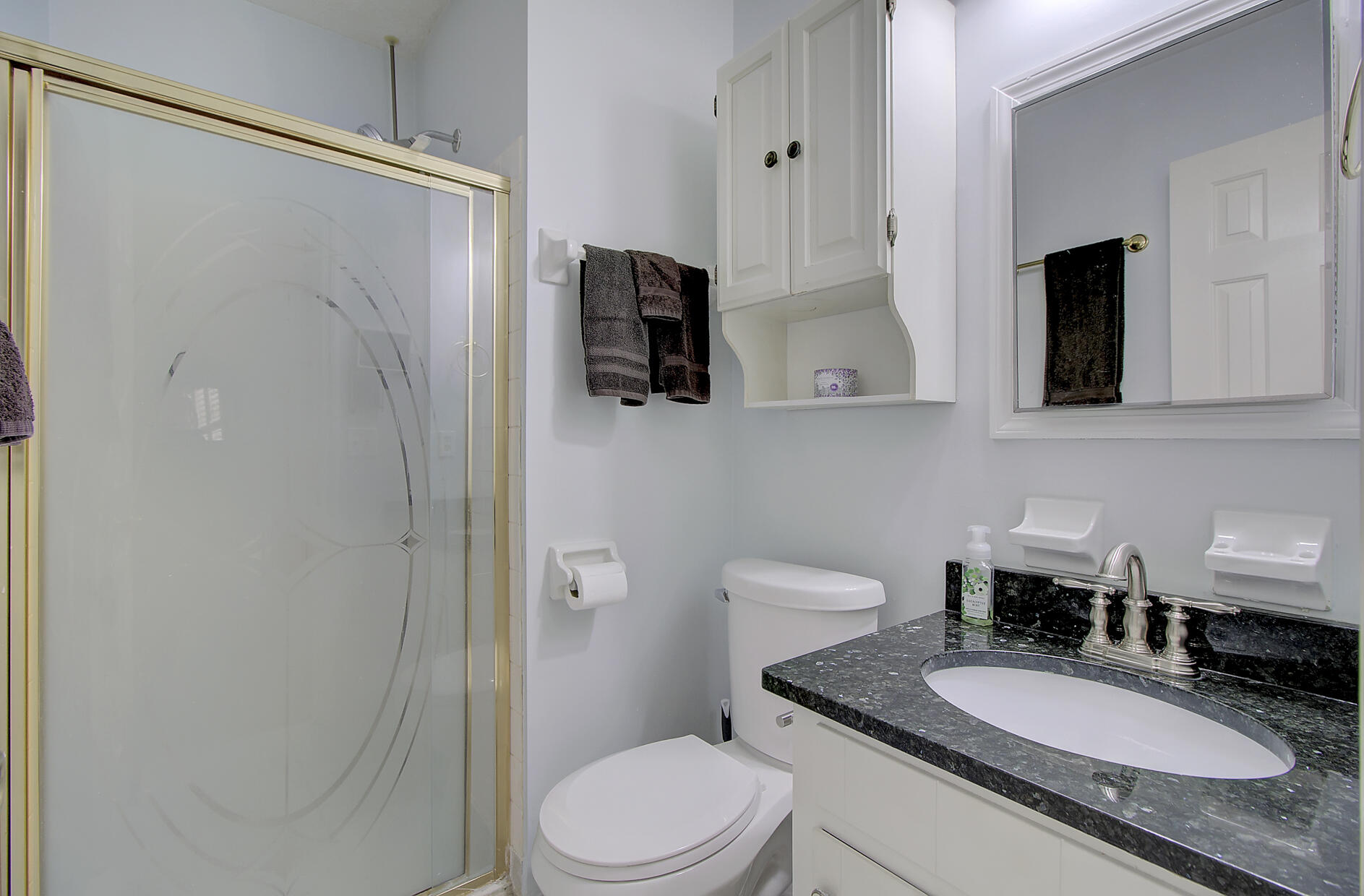 302 Springview Lane, Unit 5 Summerville, SC 29485 - Photo 20 of 30 Master Bath