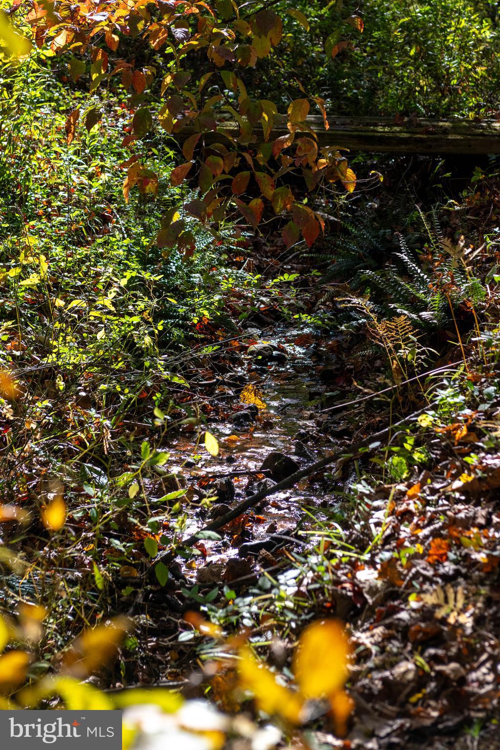 13801 Manor Road Baldwin, MD 21013 - Photo 11 of 48