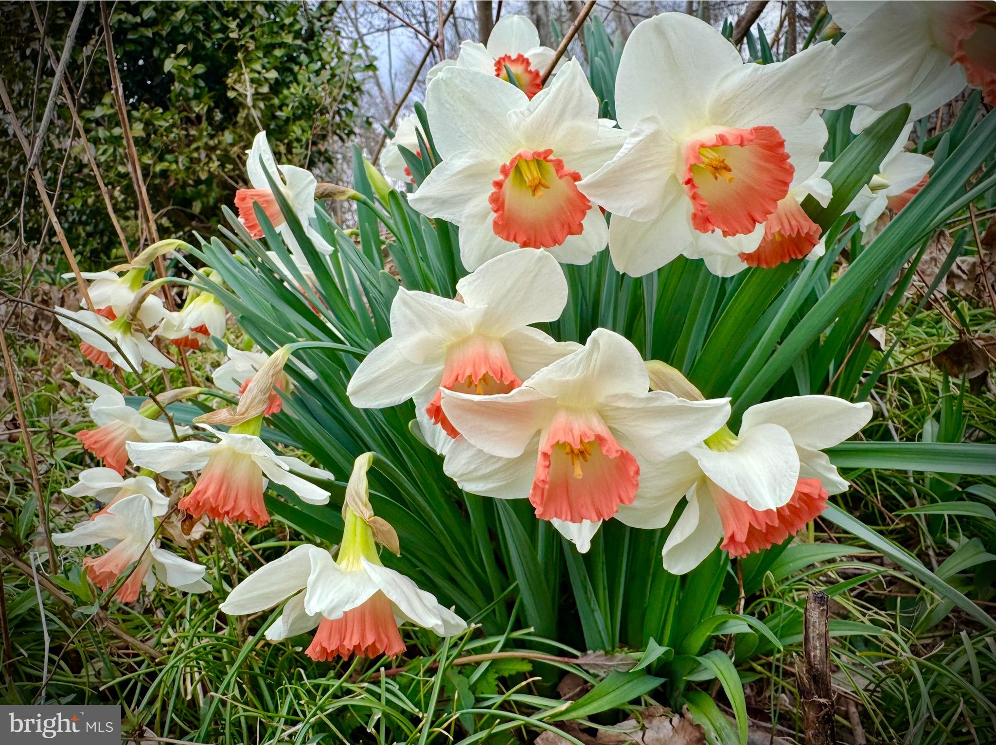 13801 Manor Road Baldwin, MD 21013 - Photo 12 of 48