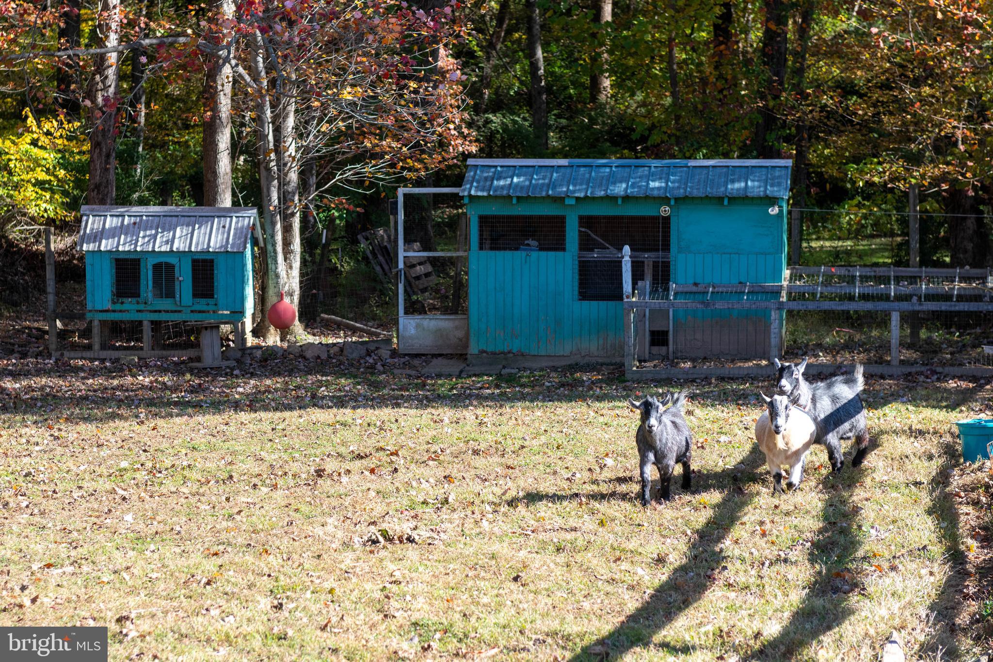 13801 Manor Road Baldwin, MD 21013 - Photo 24 of 48