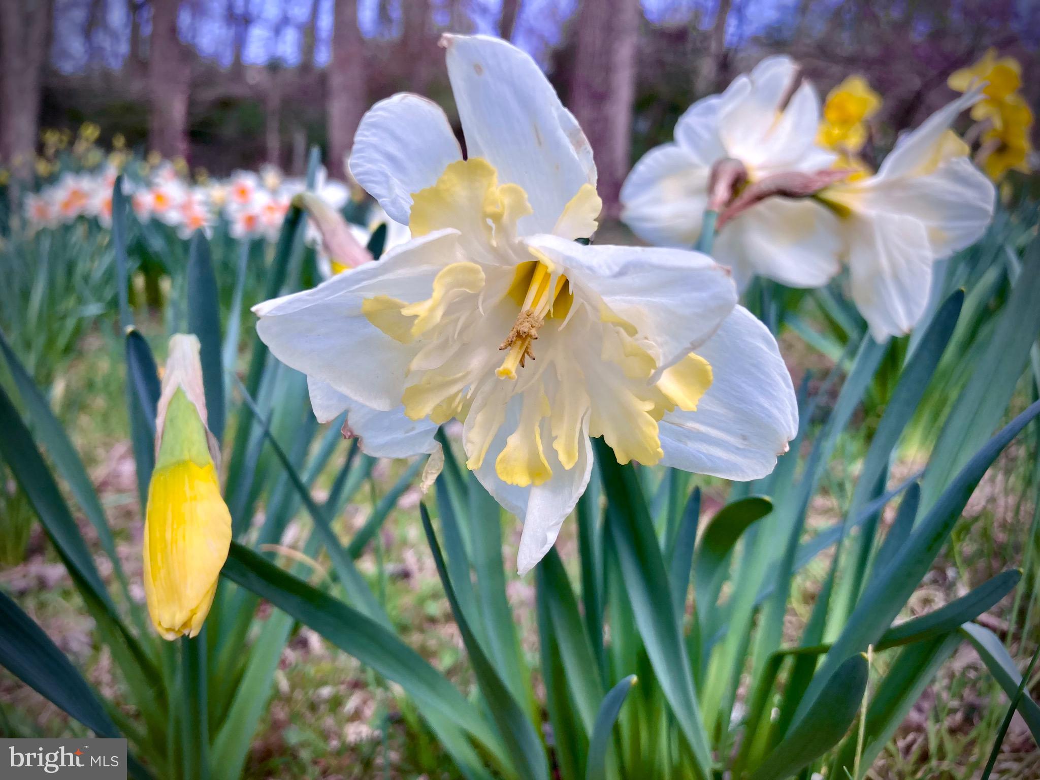 13801 Manor Road Baldwin, MD 21013 - Photo 26 of 48