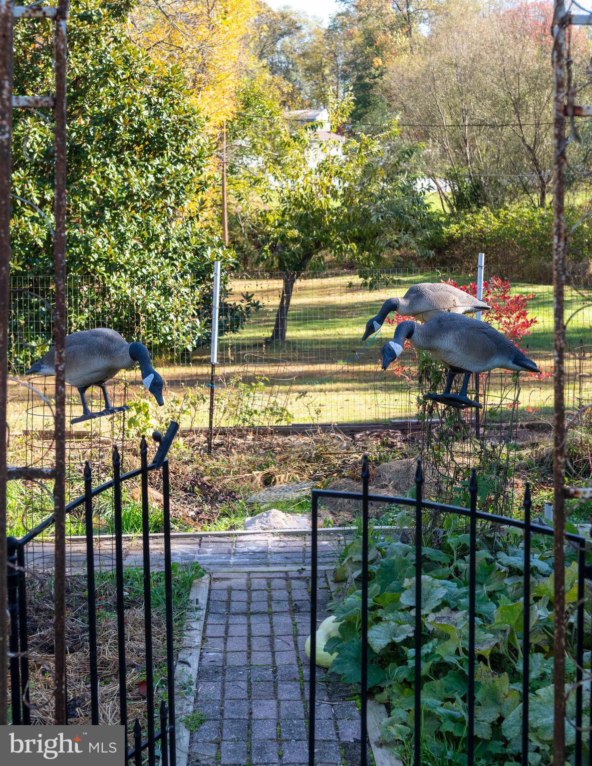 13801 Manor Road Baldwin, MD 21013 - Photo 29 of 48