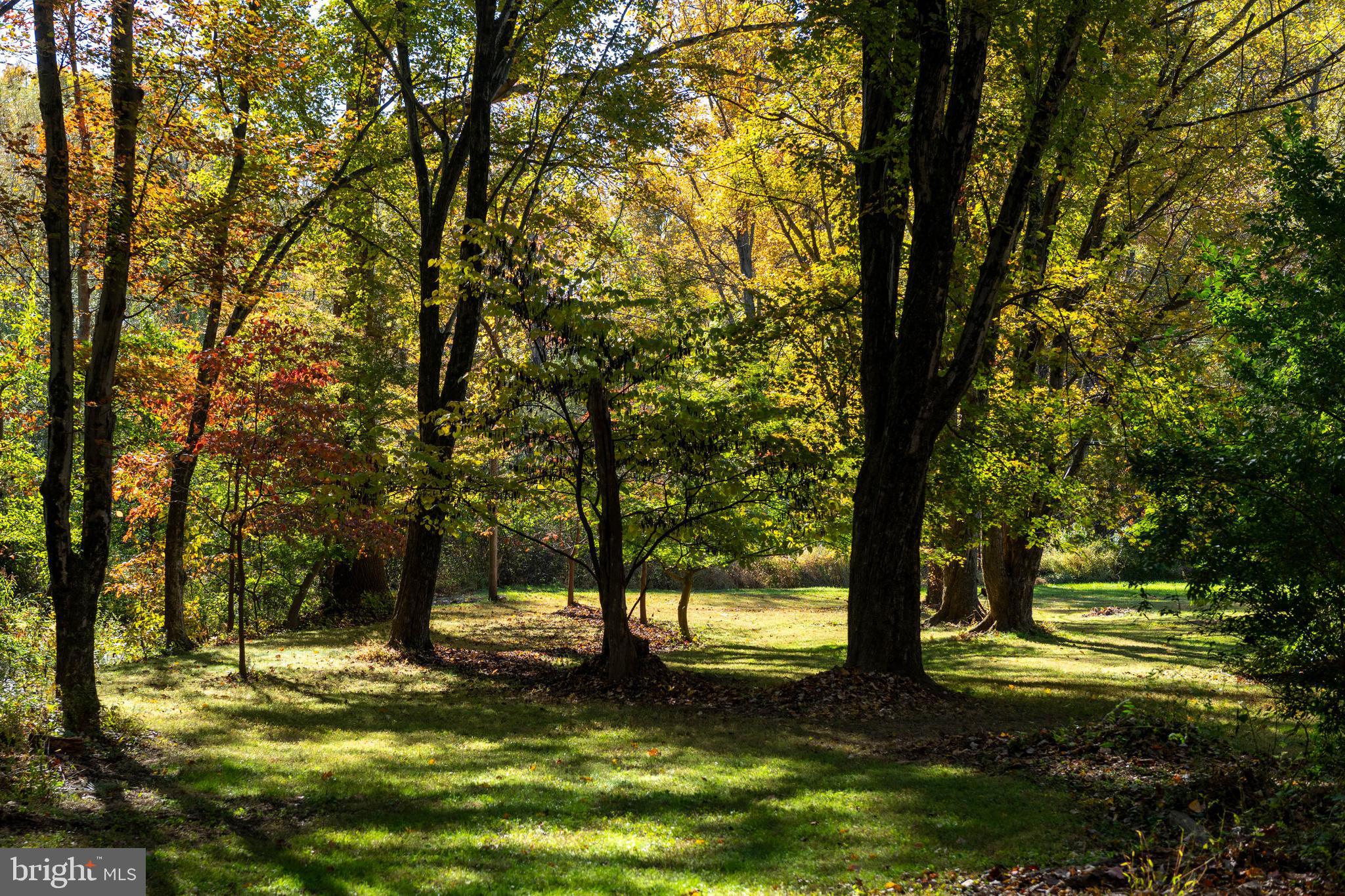 13801 Manor Road Baldwin, MD 21013 - Photo 31 of 48