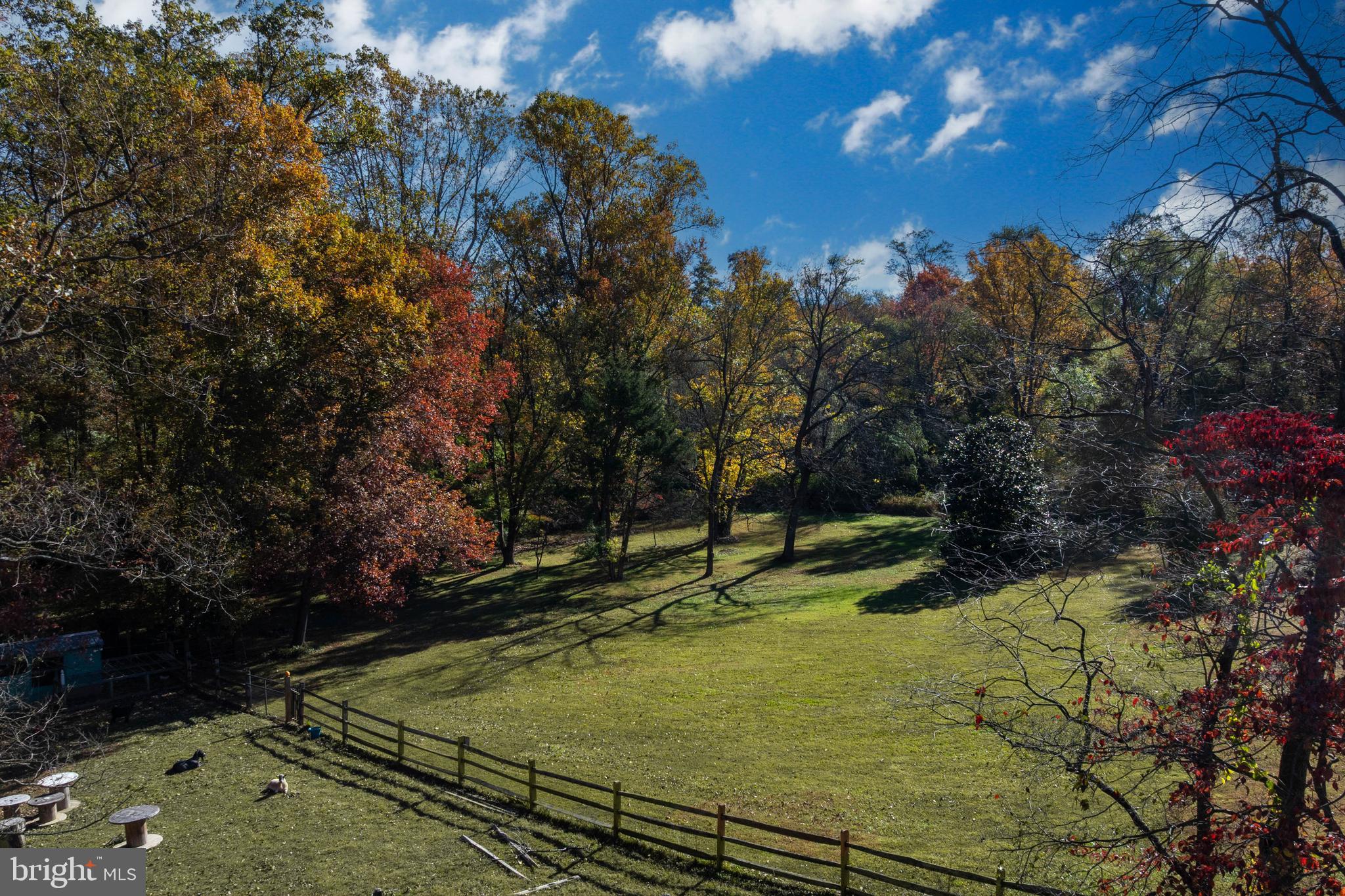 13801 Manor Road Baldwin, MD 21013 - Photo 4 of 48