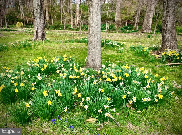 $798,000 | 13801 Manor Road, Baldwin, MD 21013