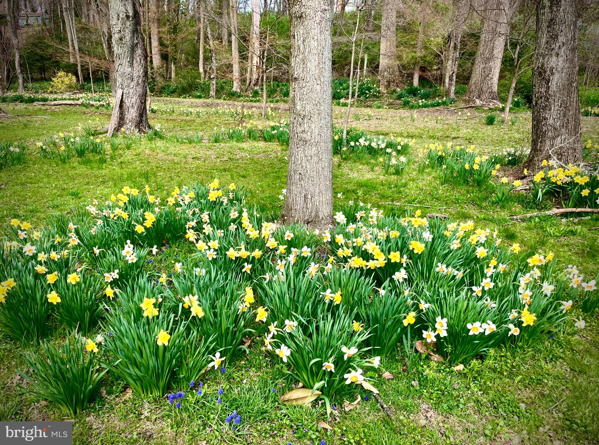 13801 Manor Road Baldwin, MD 21013 - Photo 41 of 48