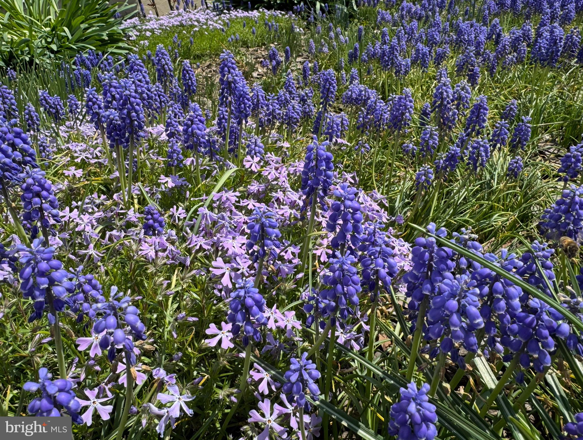 13801 Manor Road Baldwin, MD 21013 - Photo 45 of 48