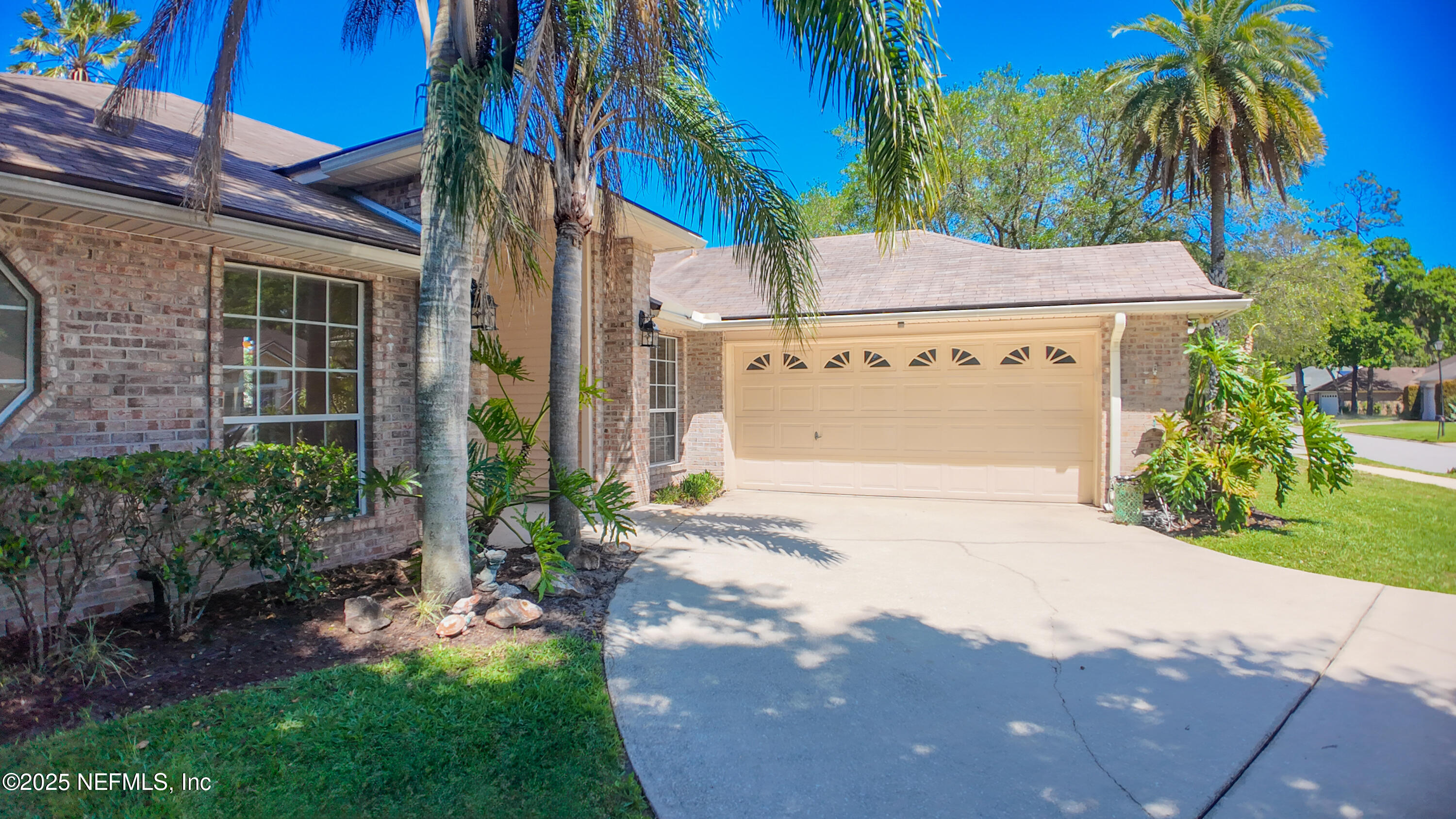 13775 Danforth Drive South Jacksonville, FL 32224 - Photo 2 of 38 a view of a white house with a yard and palm trees